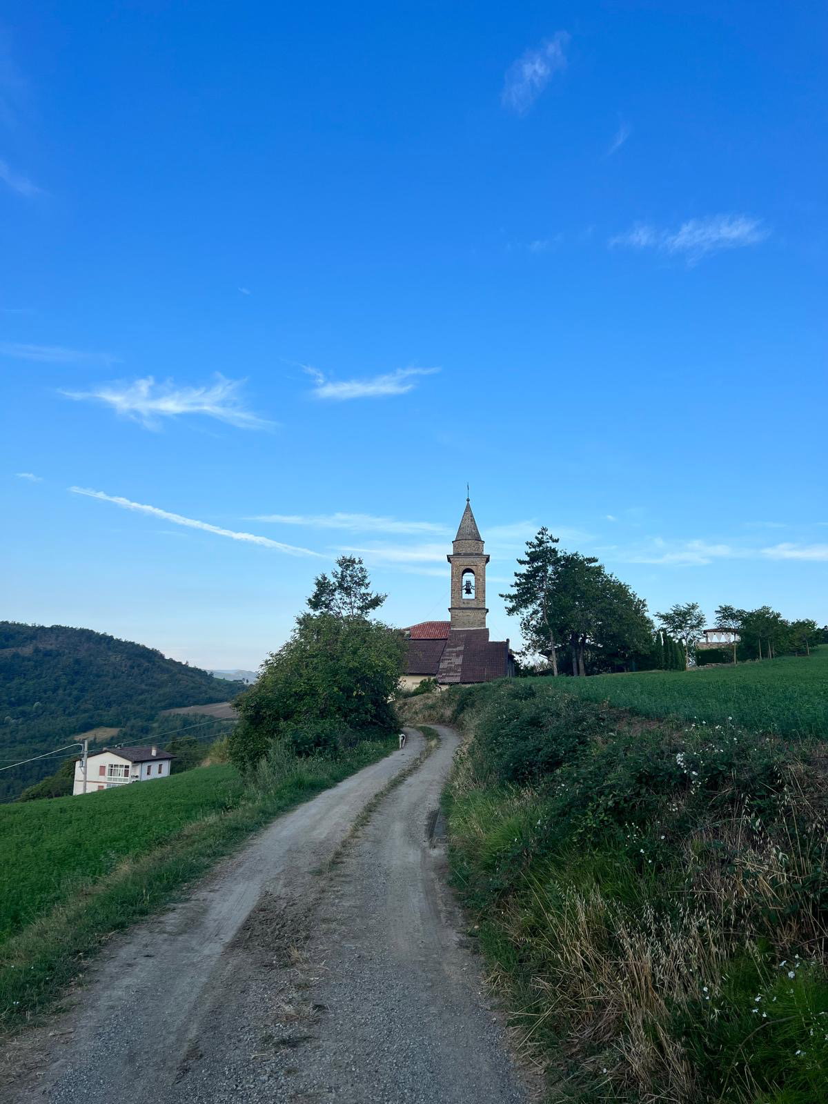 - image: 13
