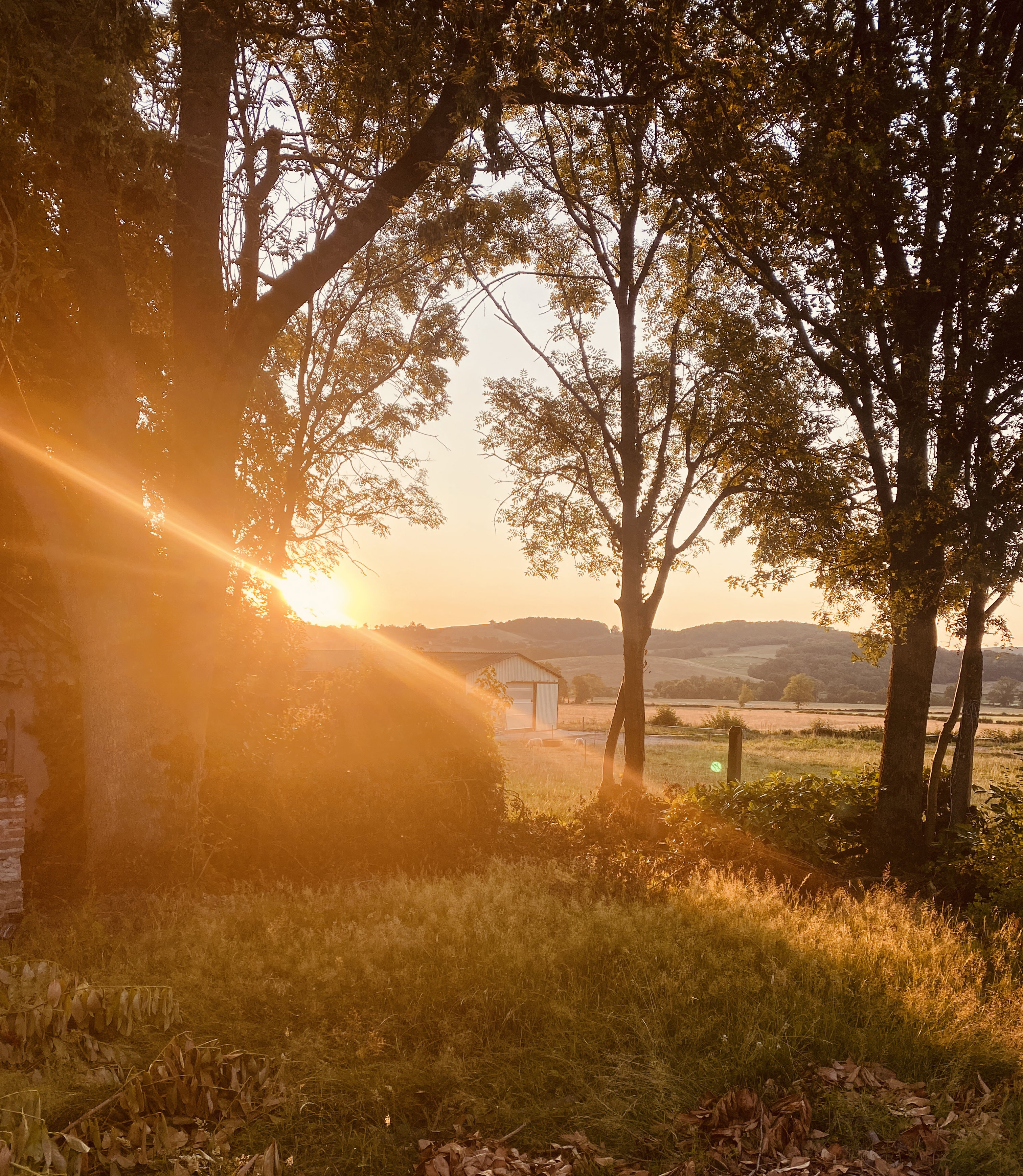Nature house in St Nizier sur arroux