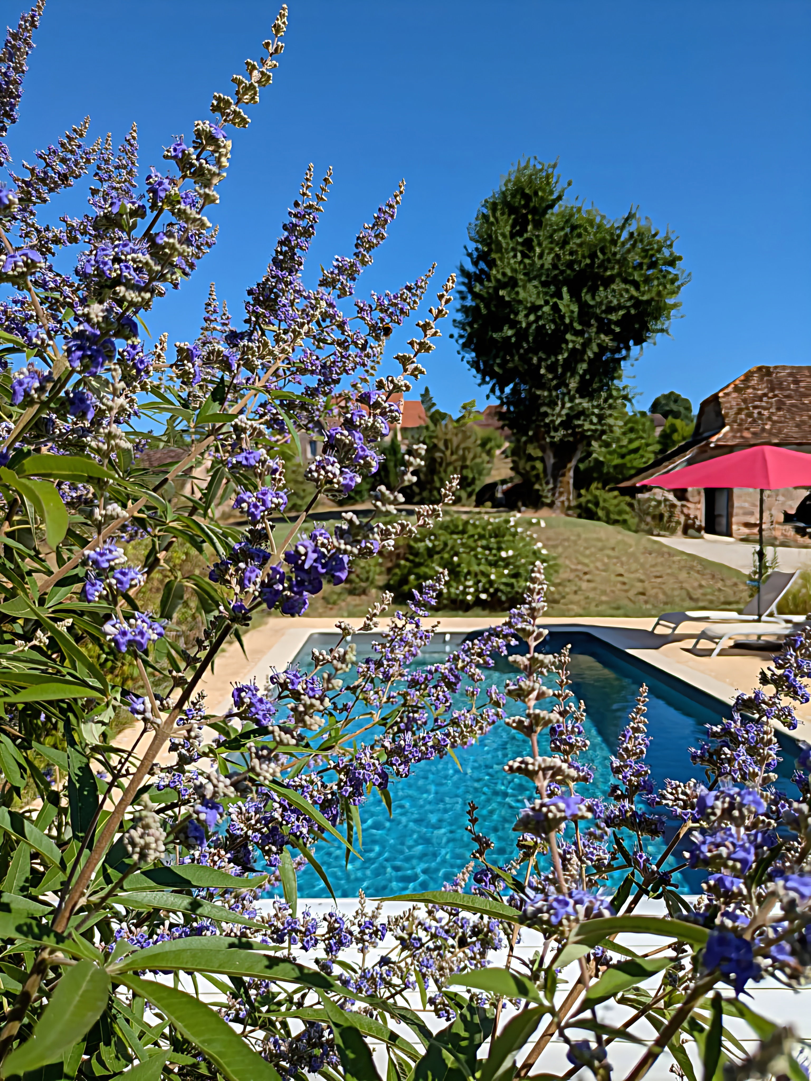 Natuurhuisje in Curemonte