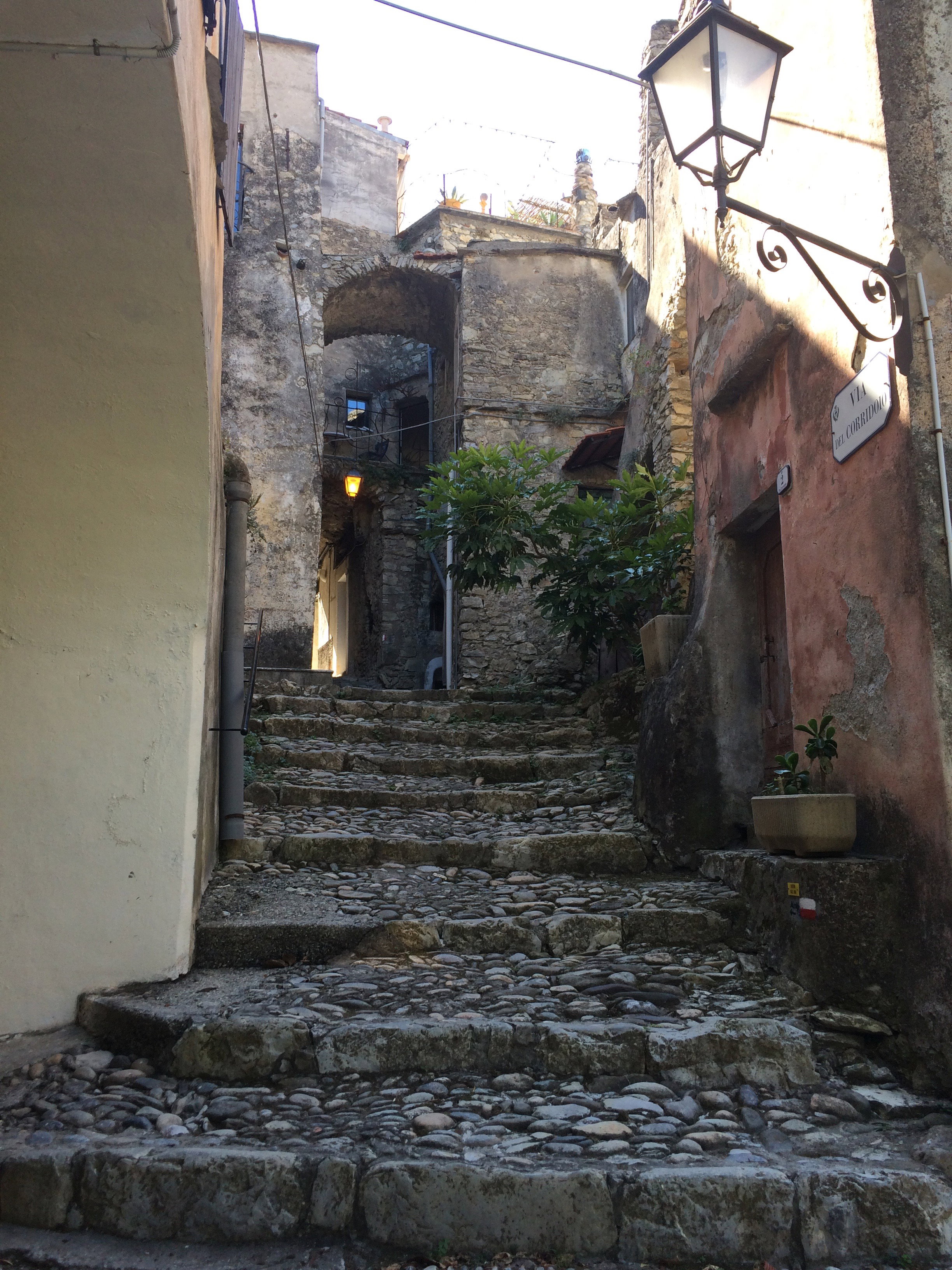 - image: 22