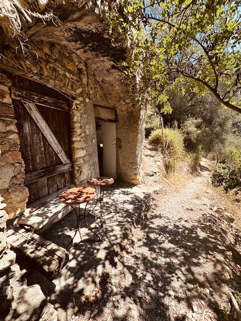 - image: 5