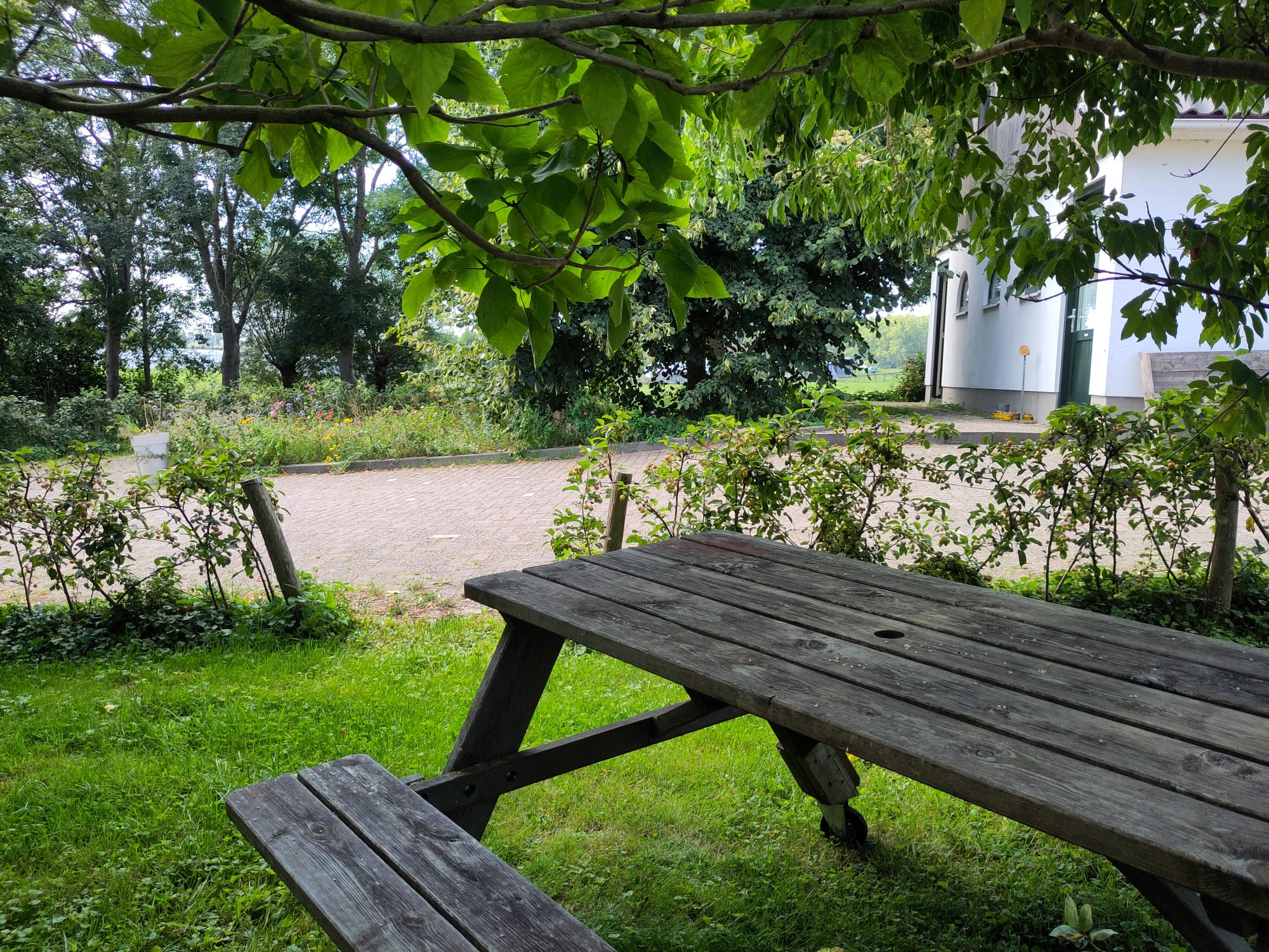 Casa nella natura a Leidschendam