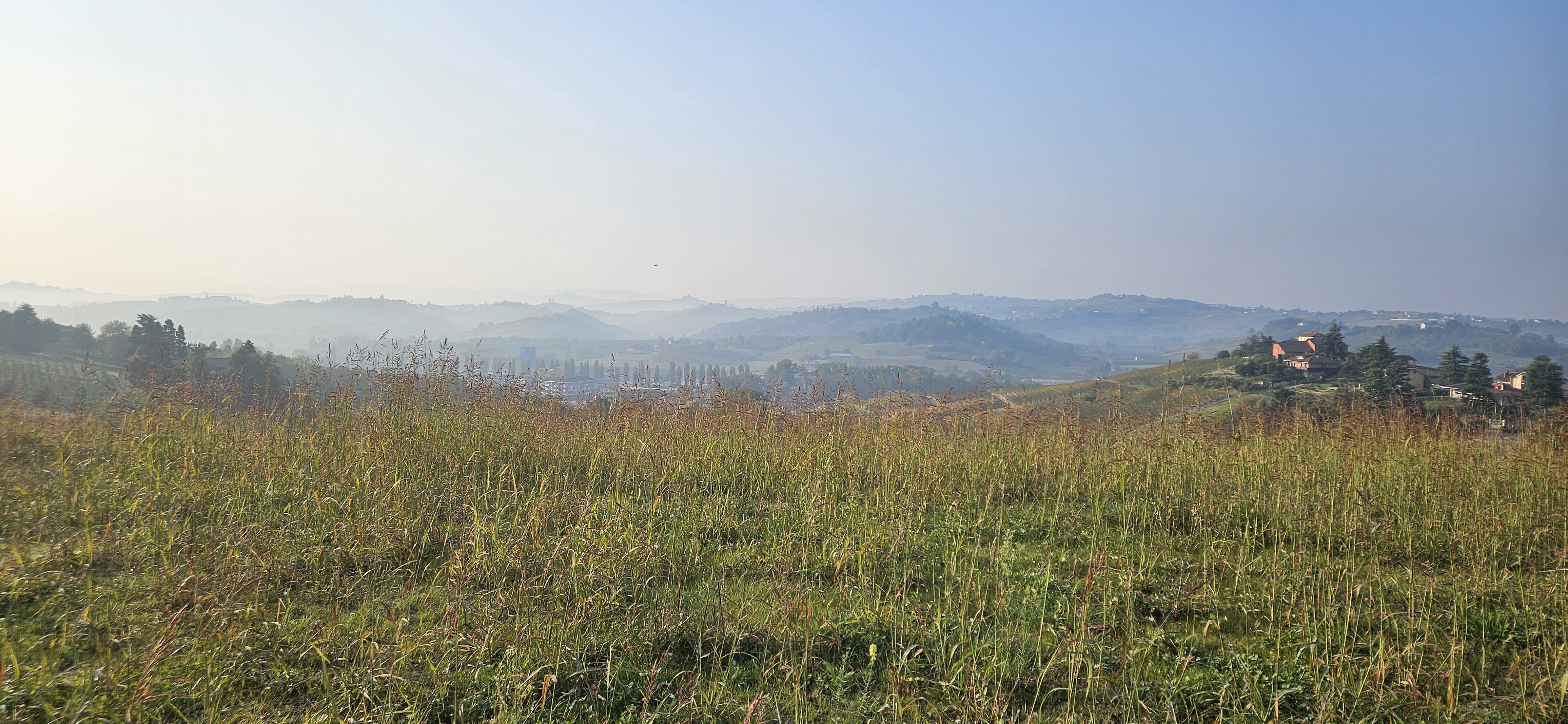 - image: 12