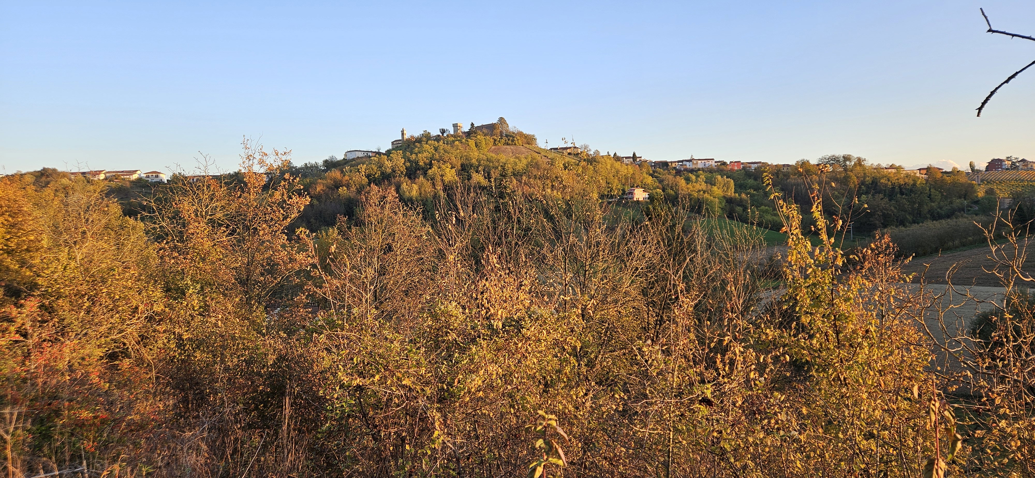 - image: 28