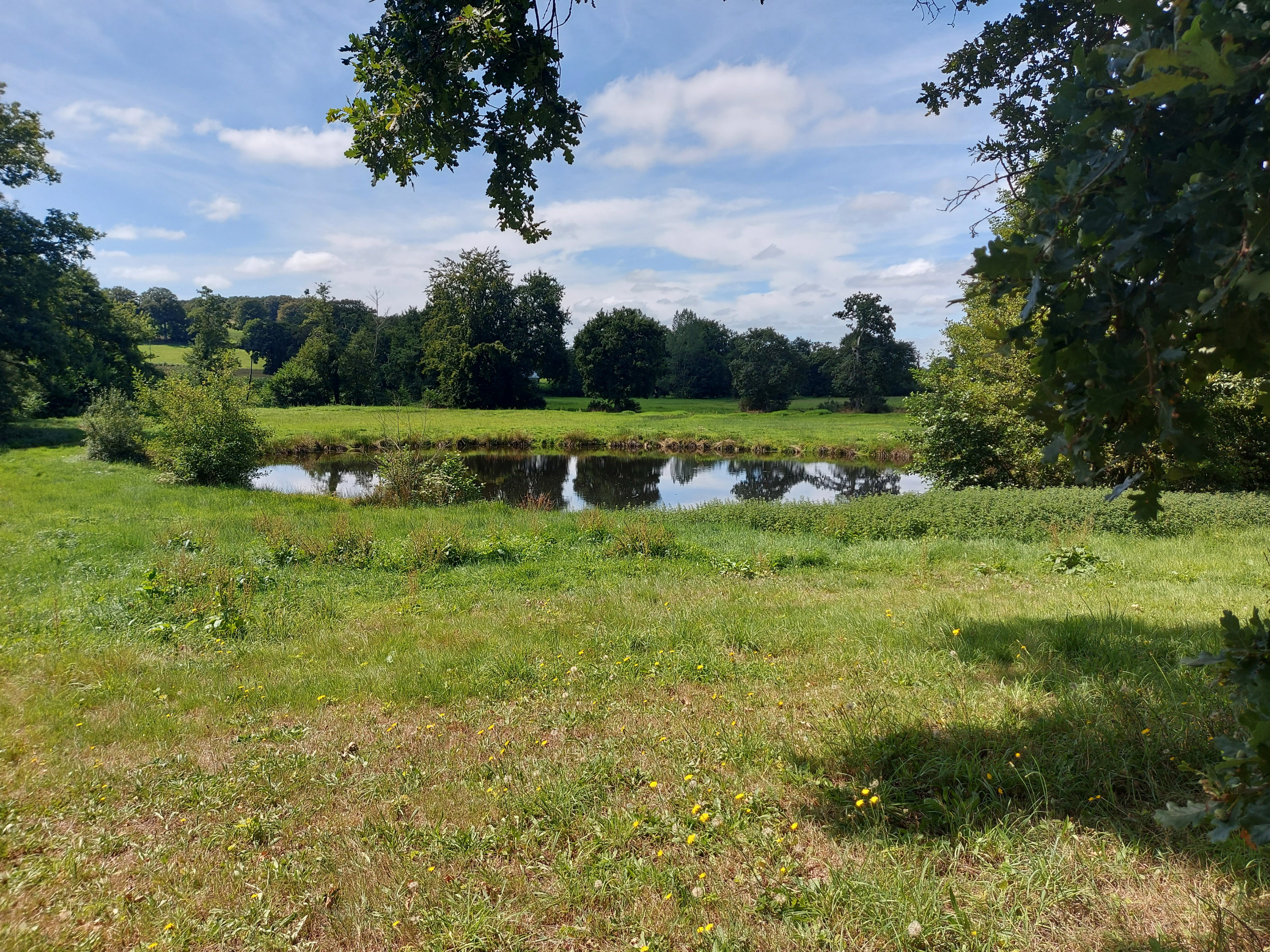 Maison nature à vire normandie