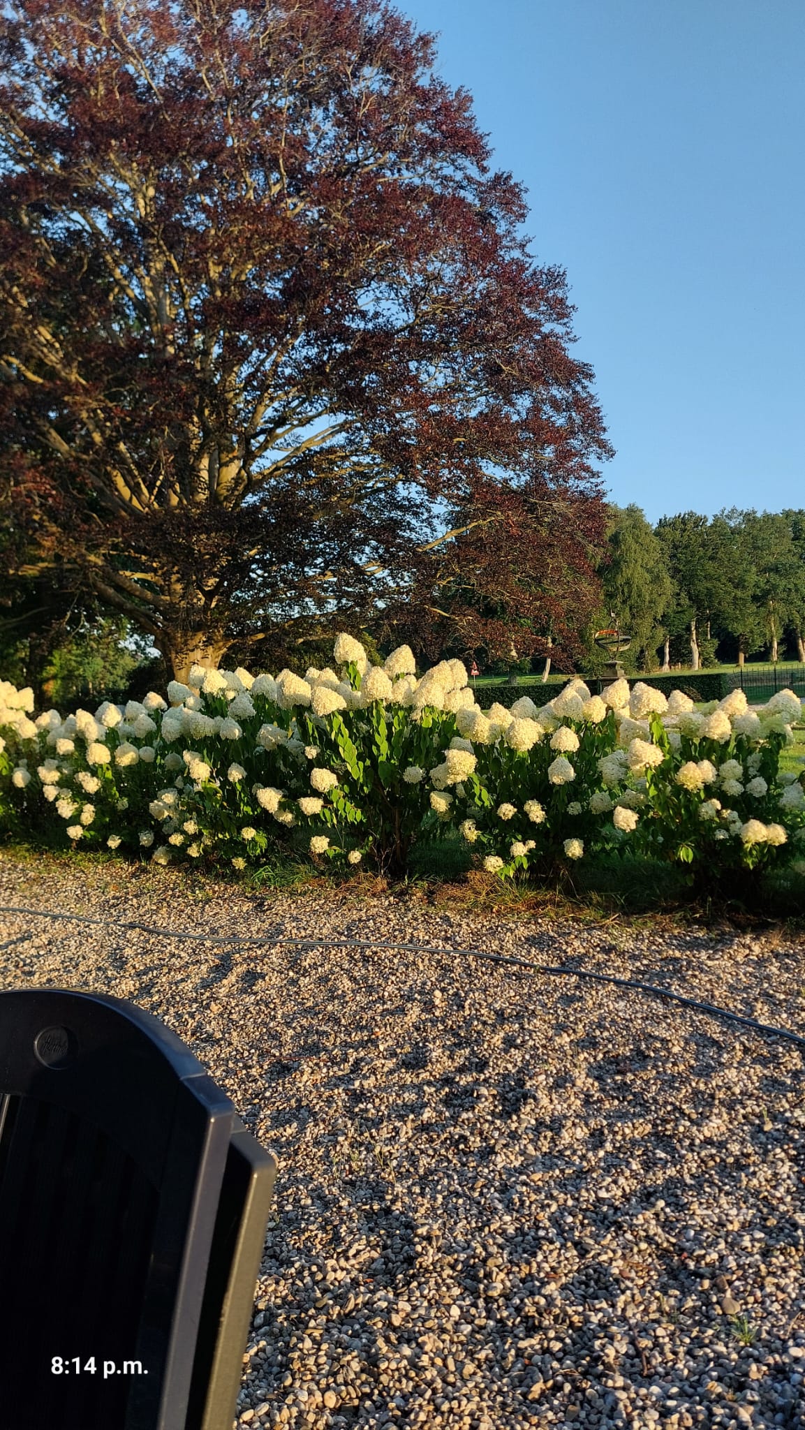 Natuurhuisje in De Schiphorst