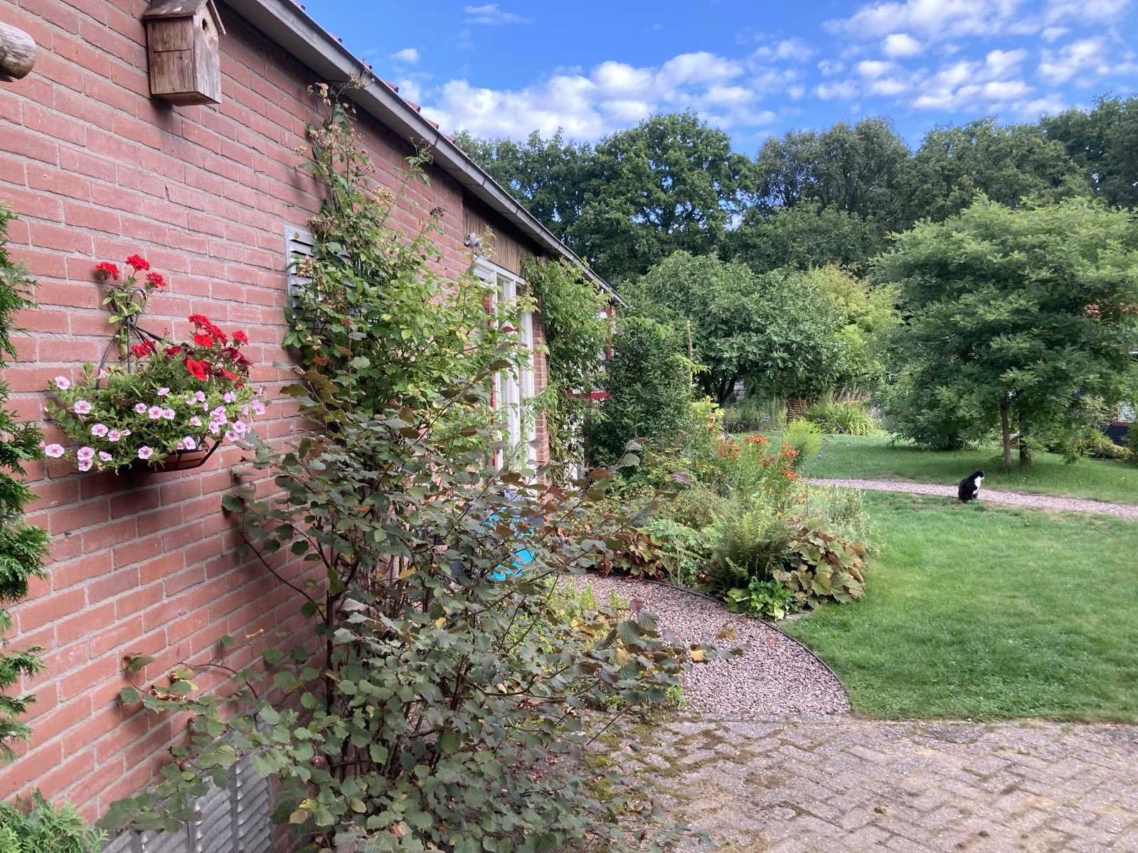 Nature house in Varssel, Hengelo gld