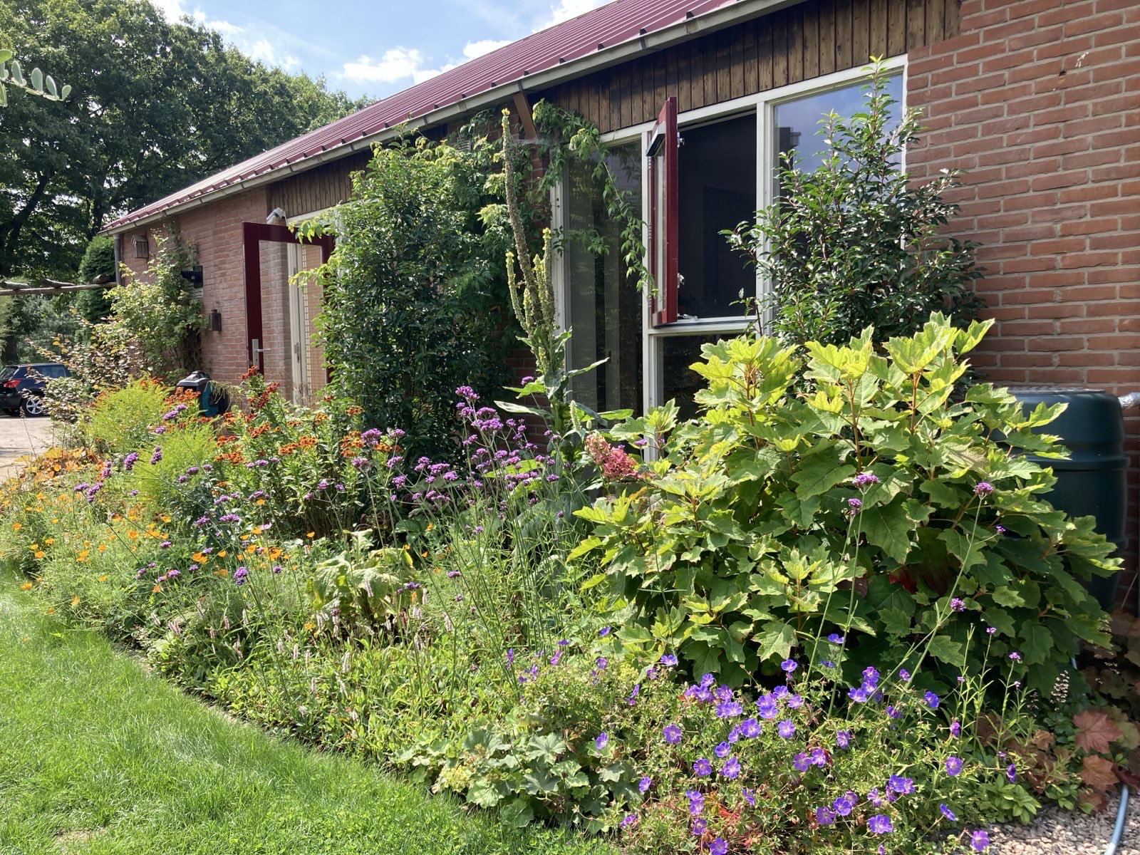 Nature house in Varssel, Hengelo gld