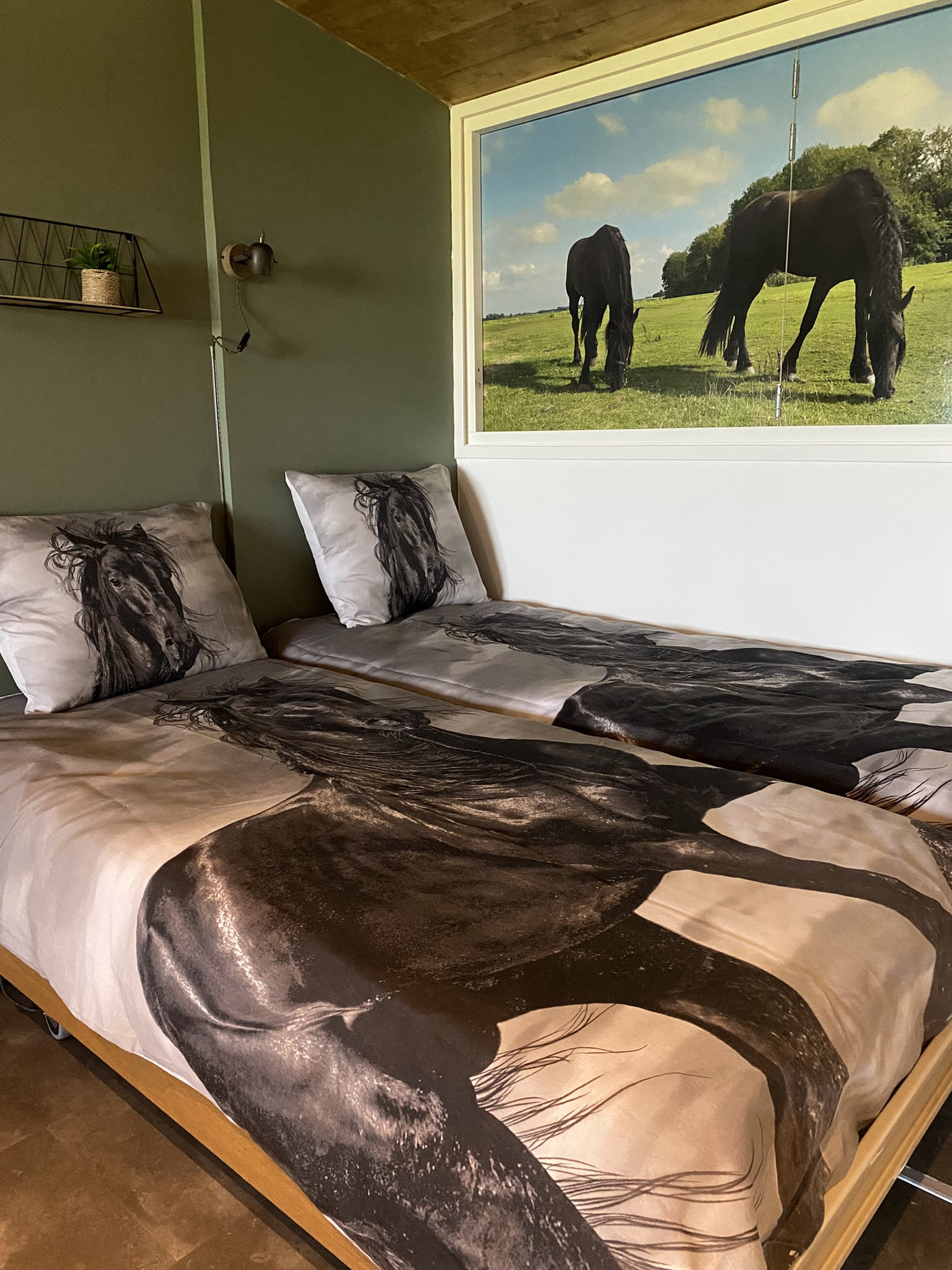 Natuurhuisje in Sibrandabuorren