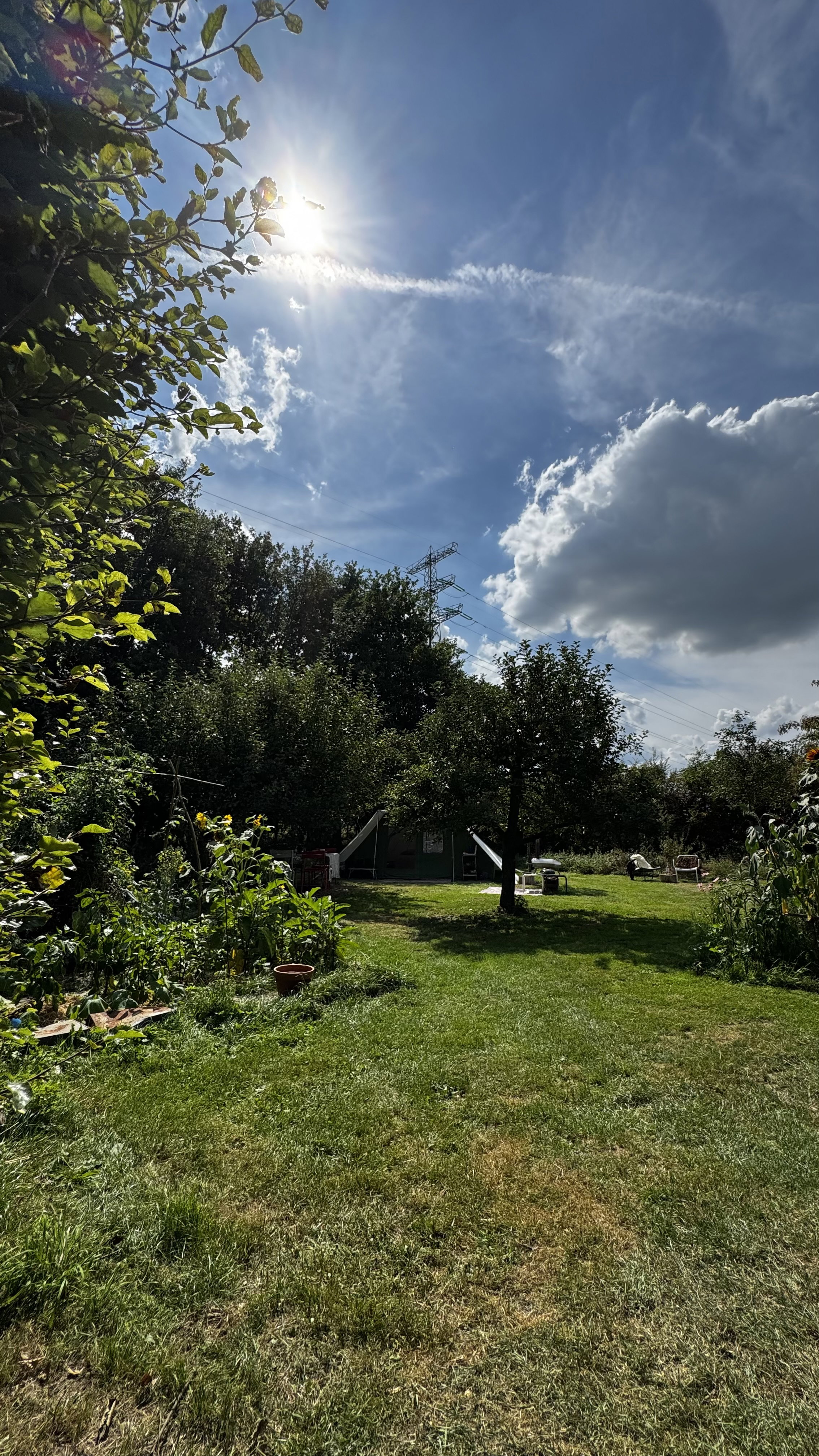 Nature house in Voorst