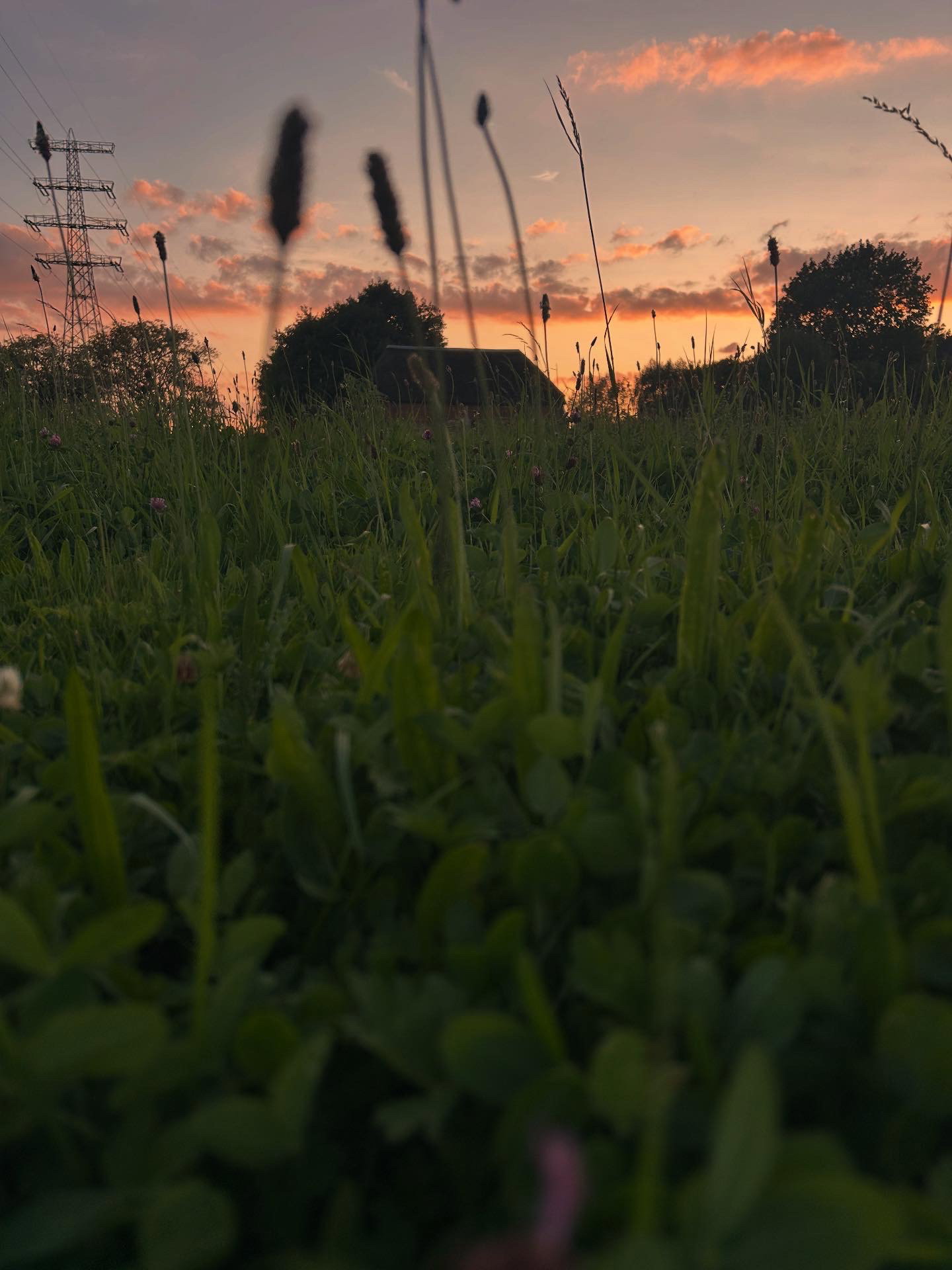 - image: 12