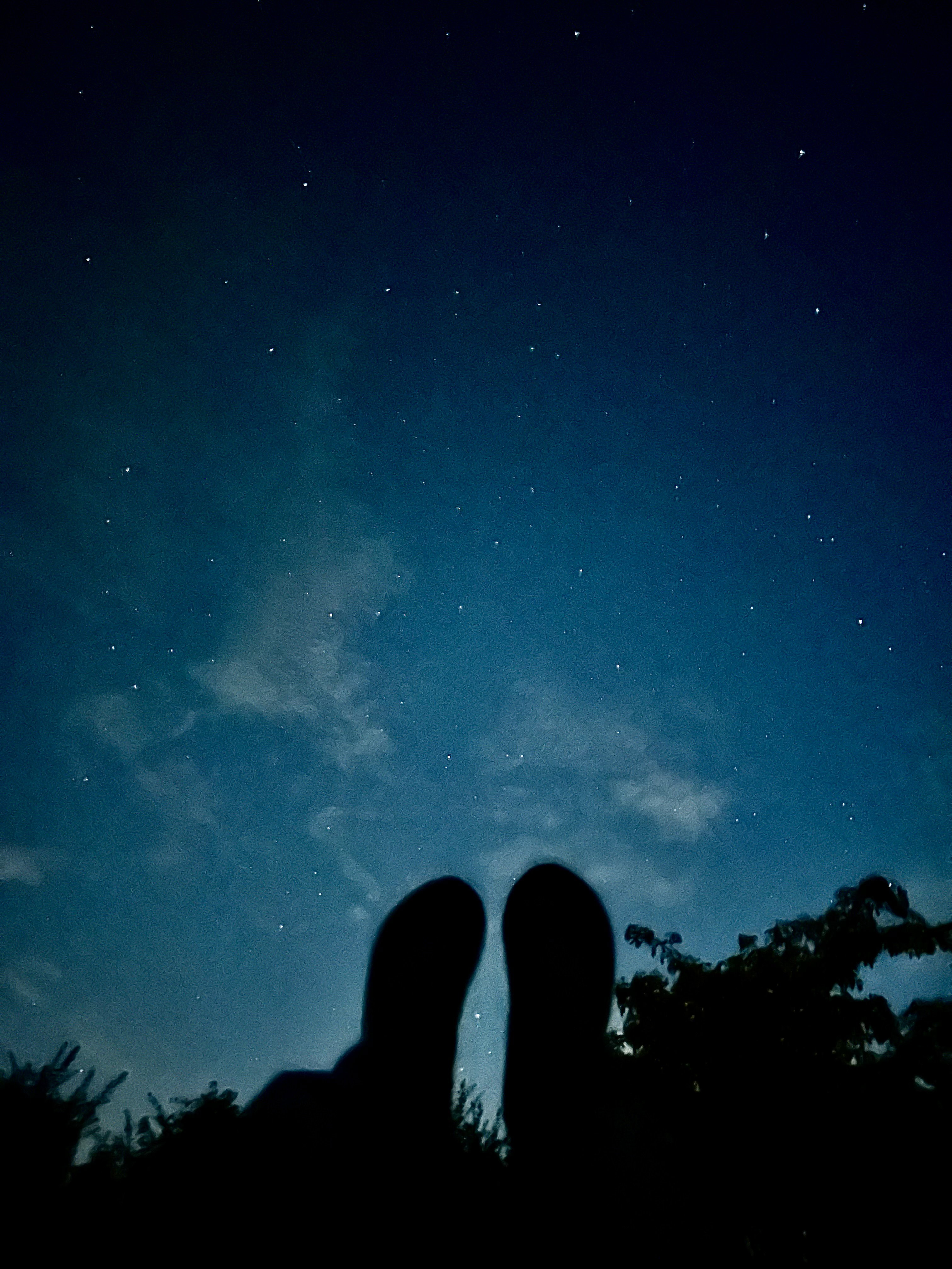 - image: 13