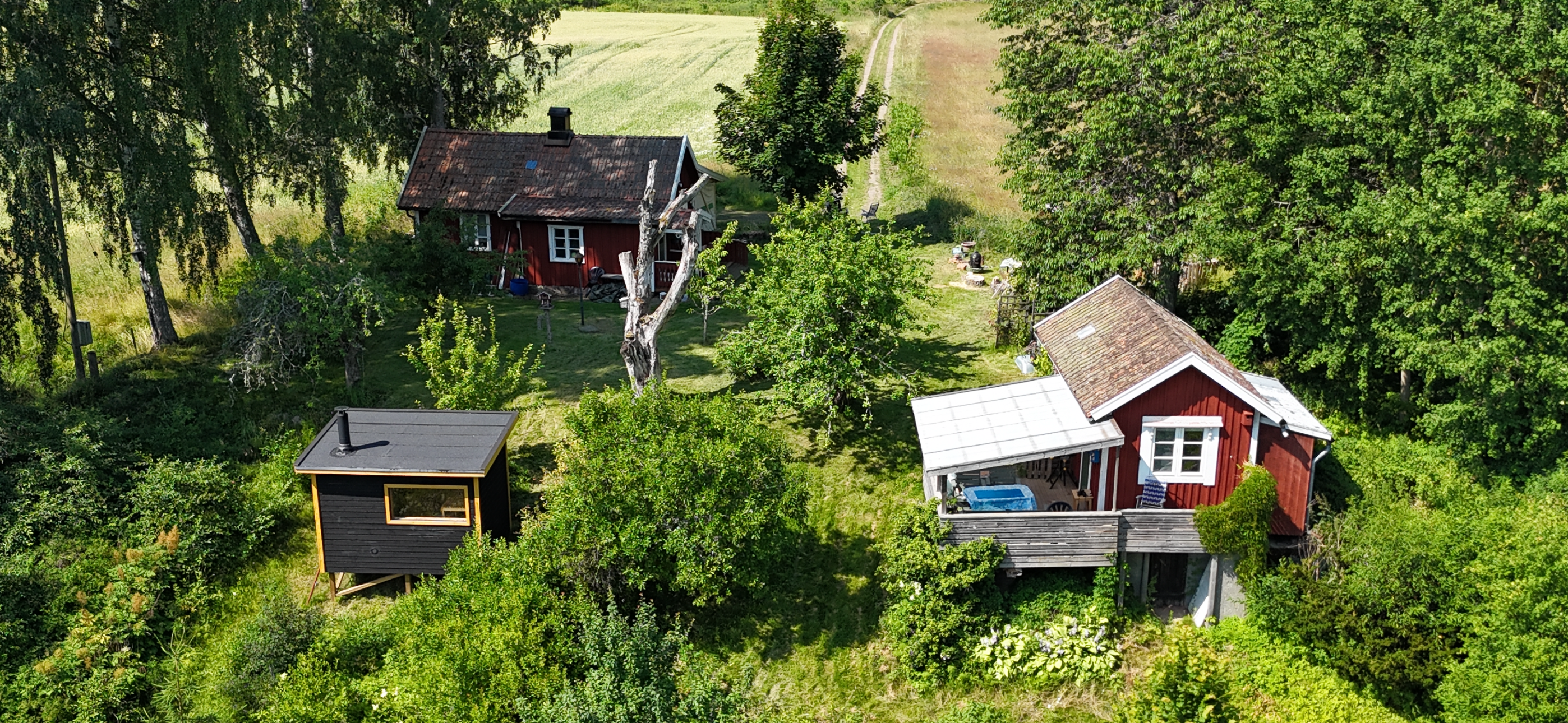 - image: 2