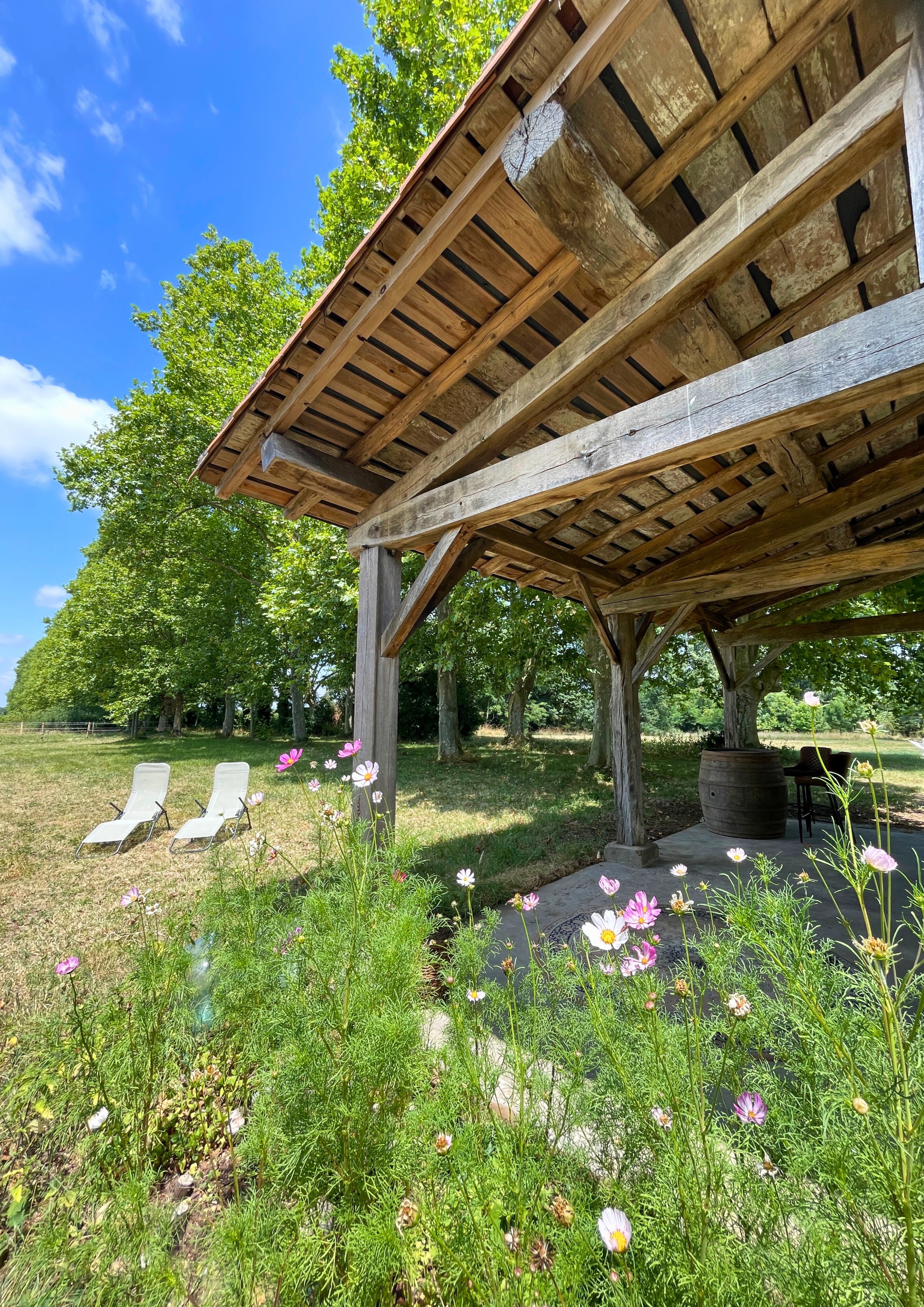 - image: 16