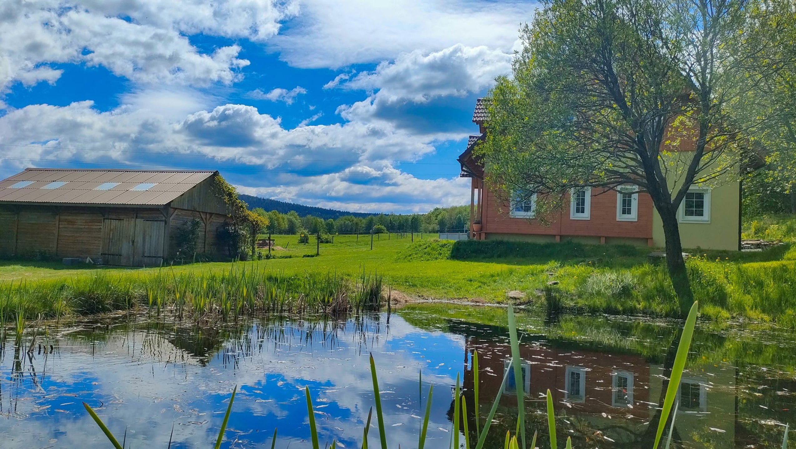 Natuurhuisje in Kopaniec