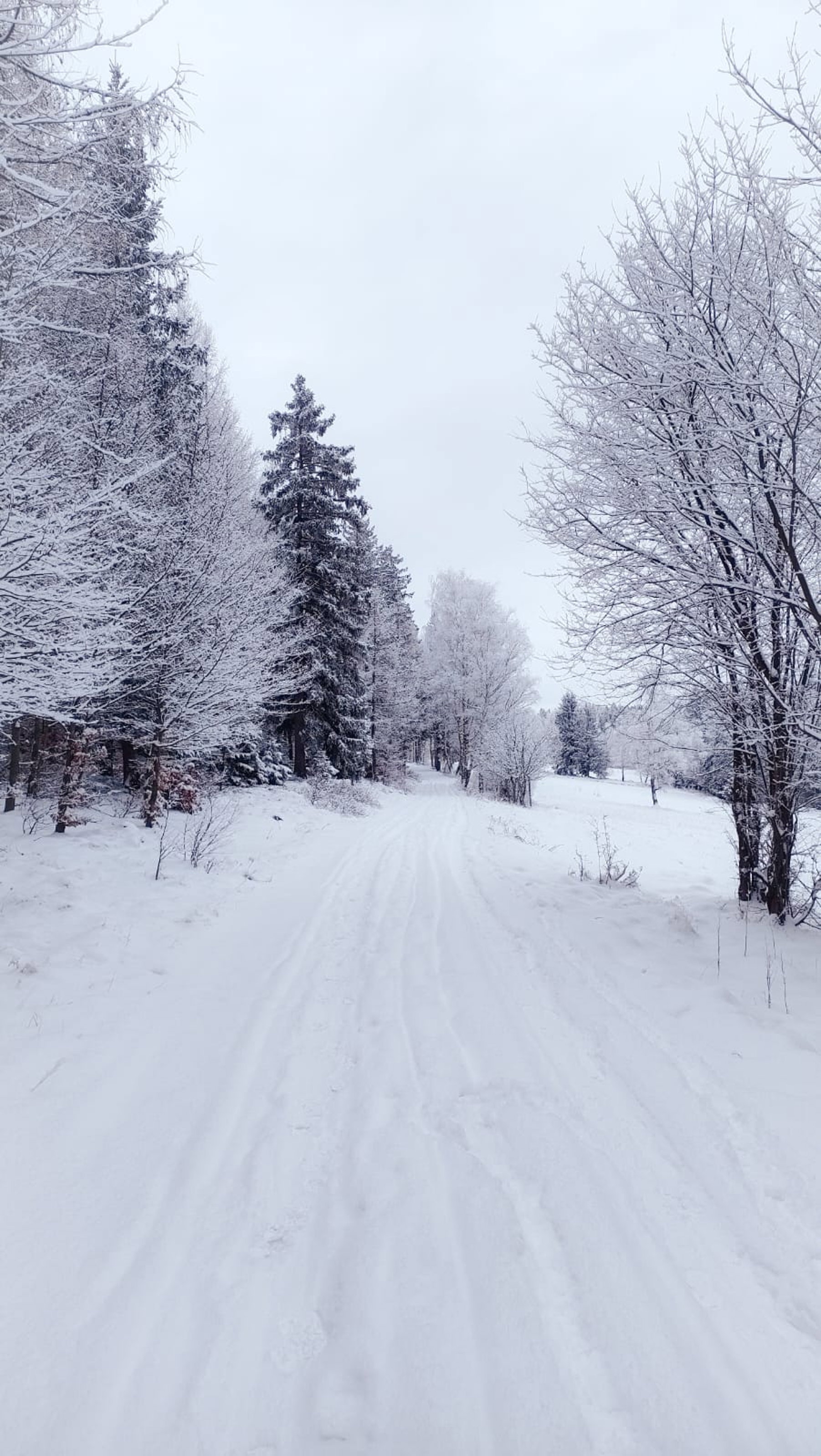 - image: 46
