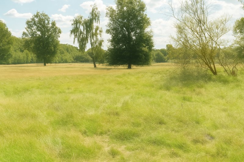 Natuurhuisje in Sellingen