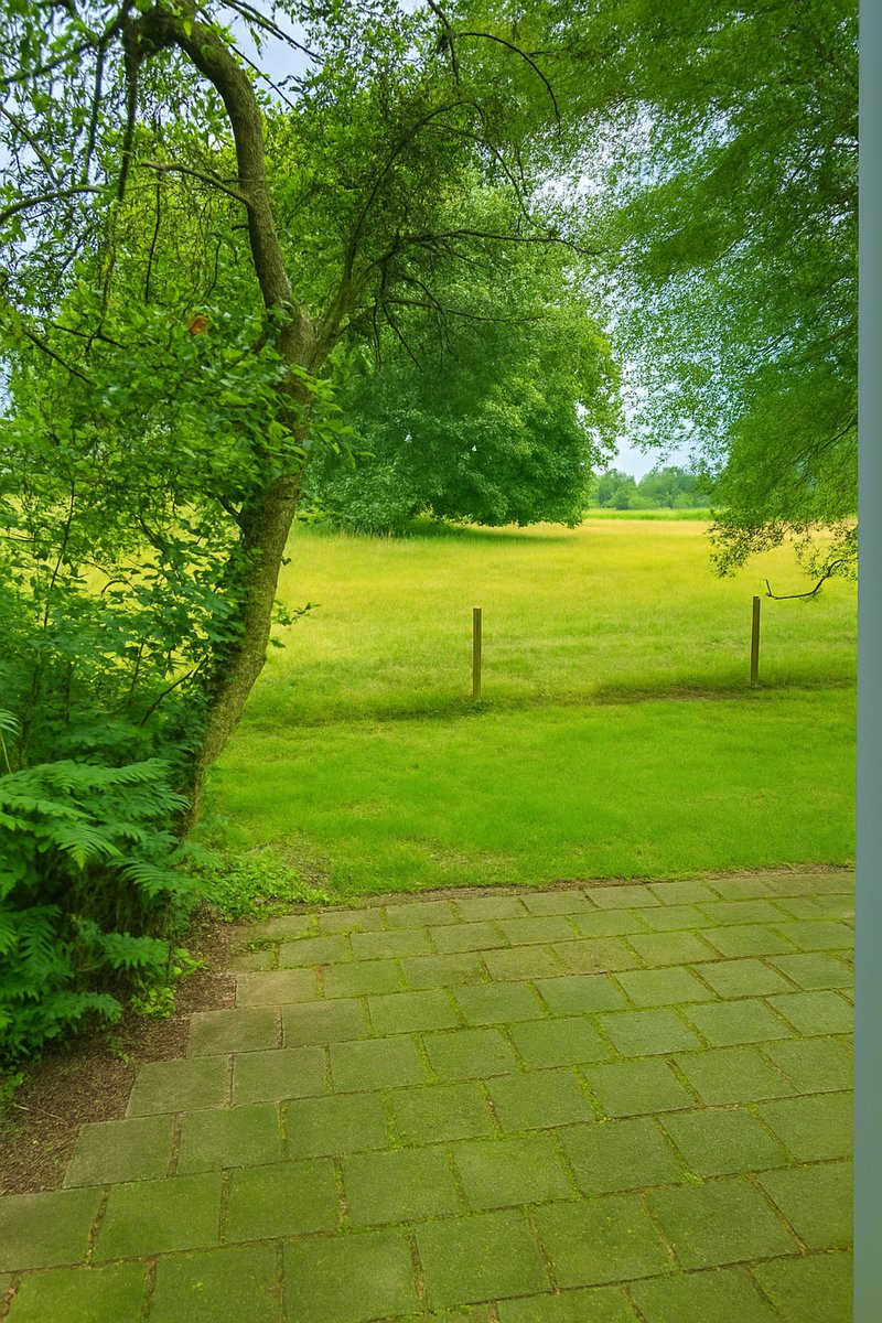 Natuurhuisje in Sellingen