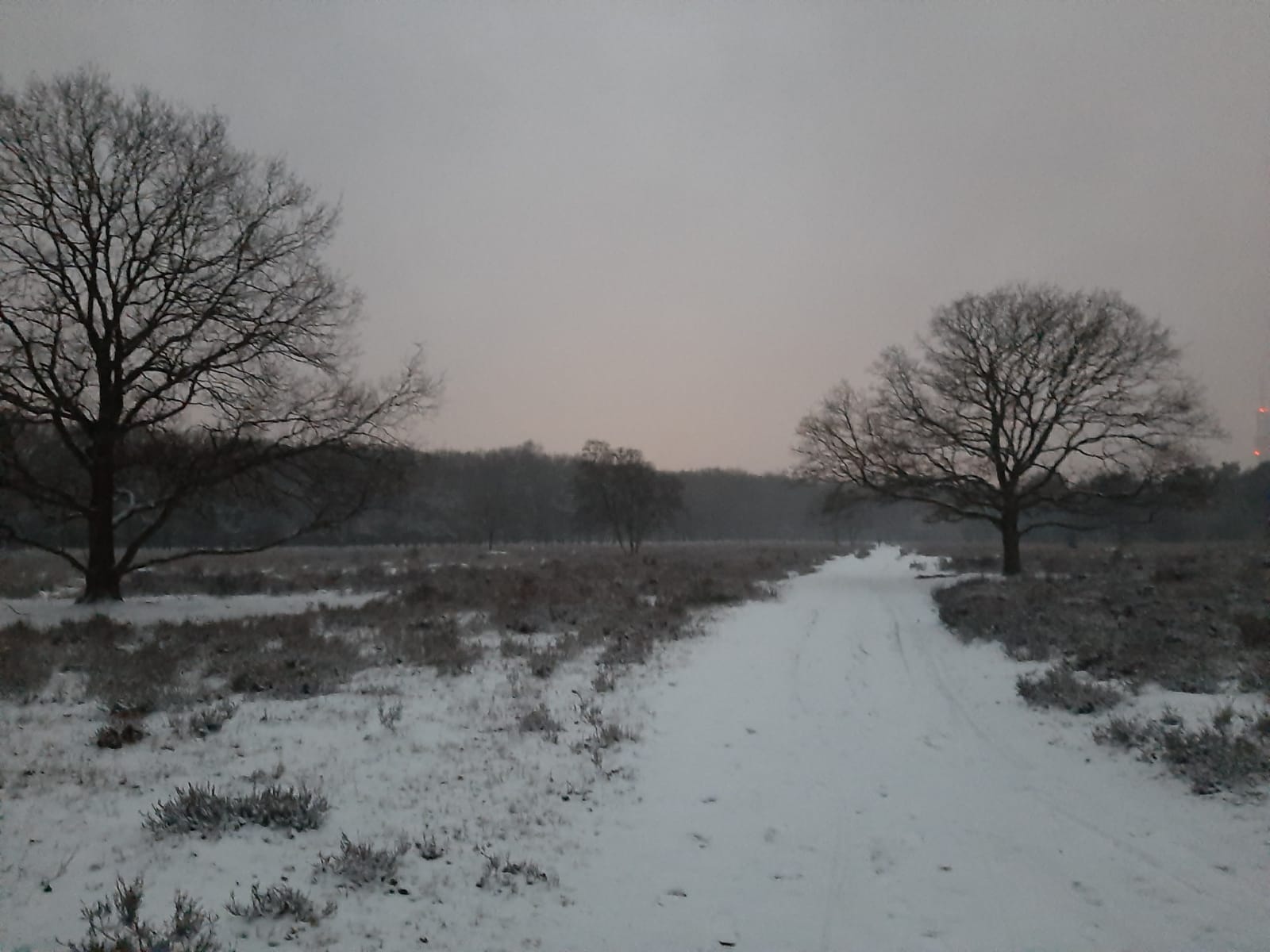 - image: 25