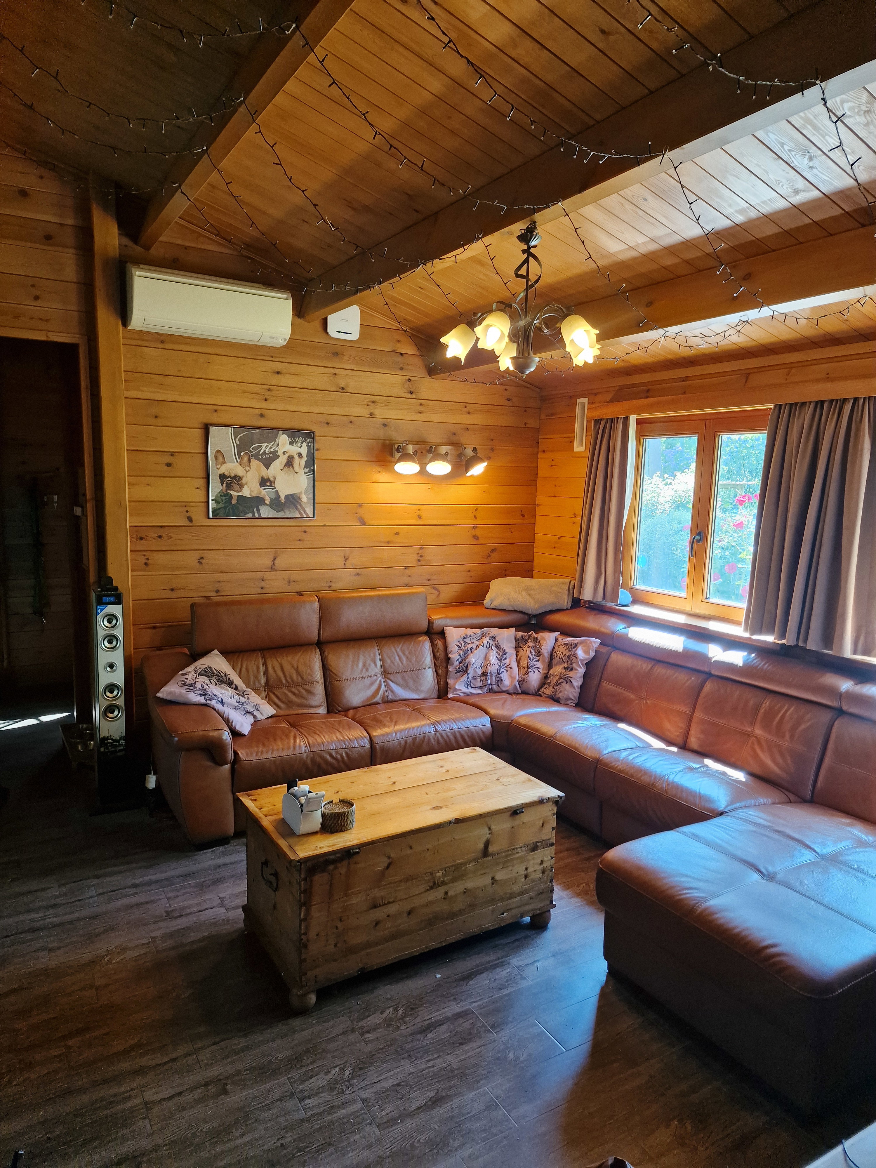 - image: 23