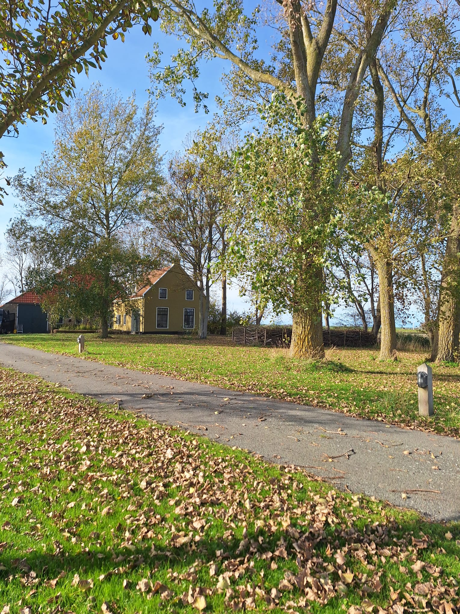 Natuurhuisje in Wijnaldum