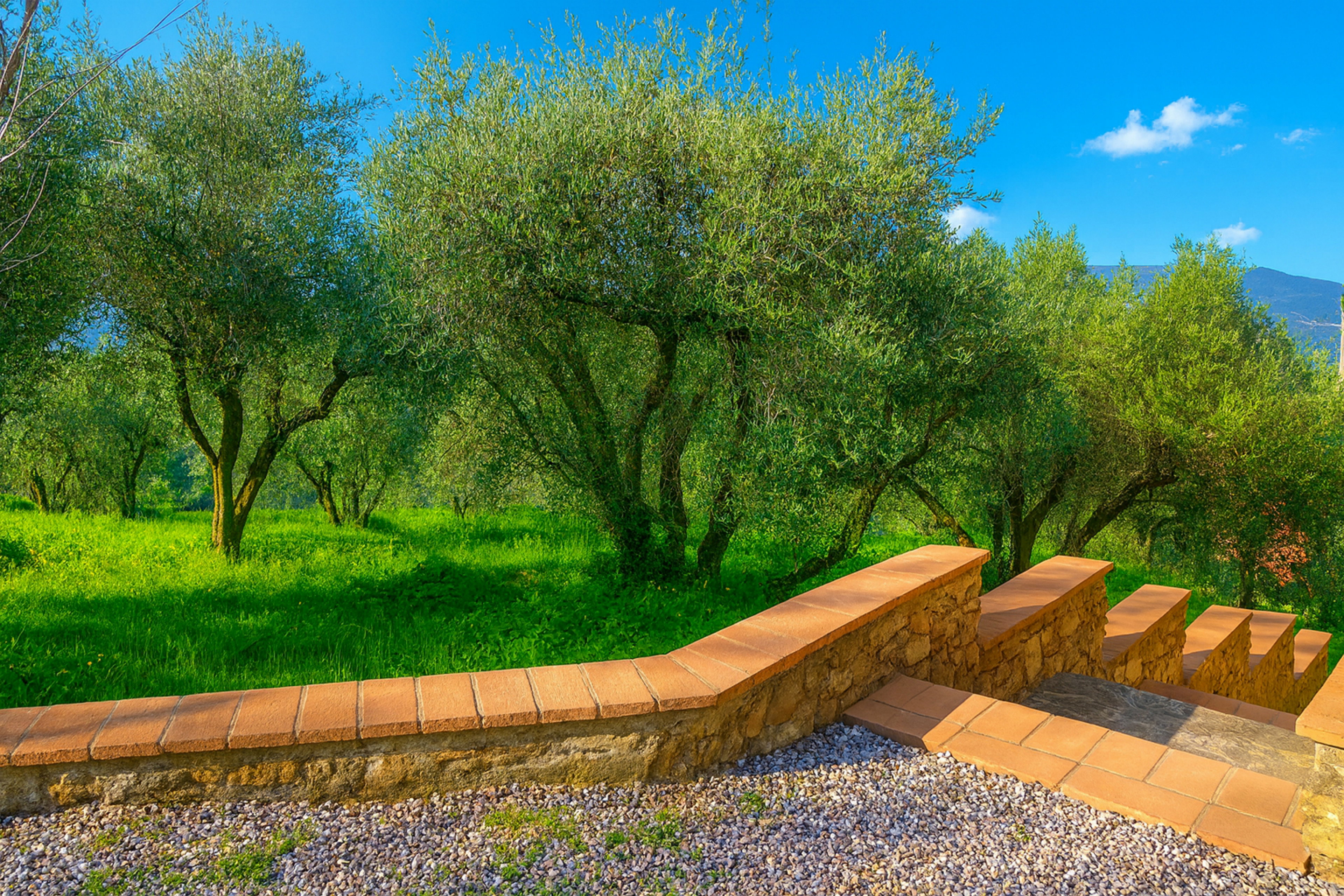 Maison nature à (Montedivalli) Podenzana MS, Italien