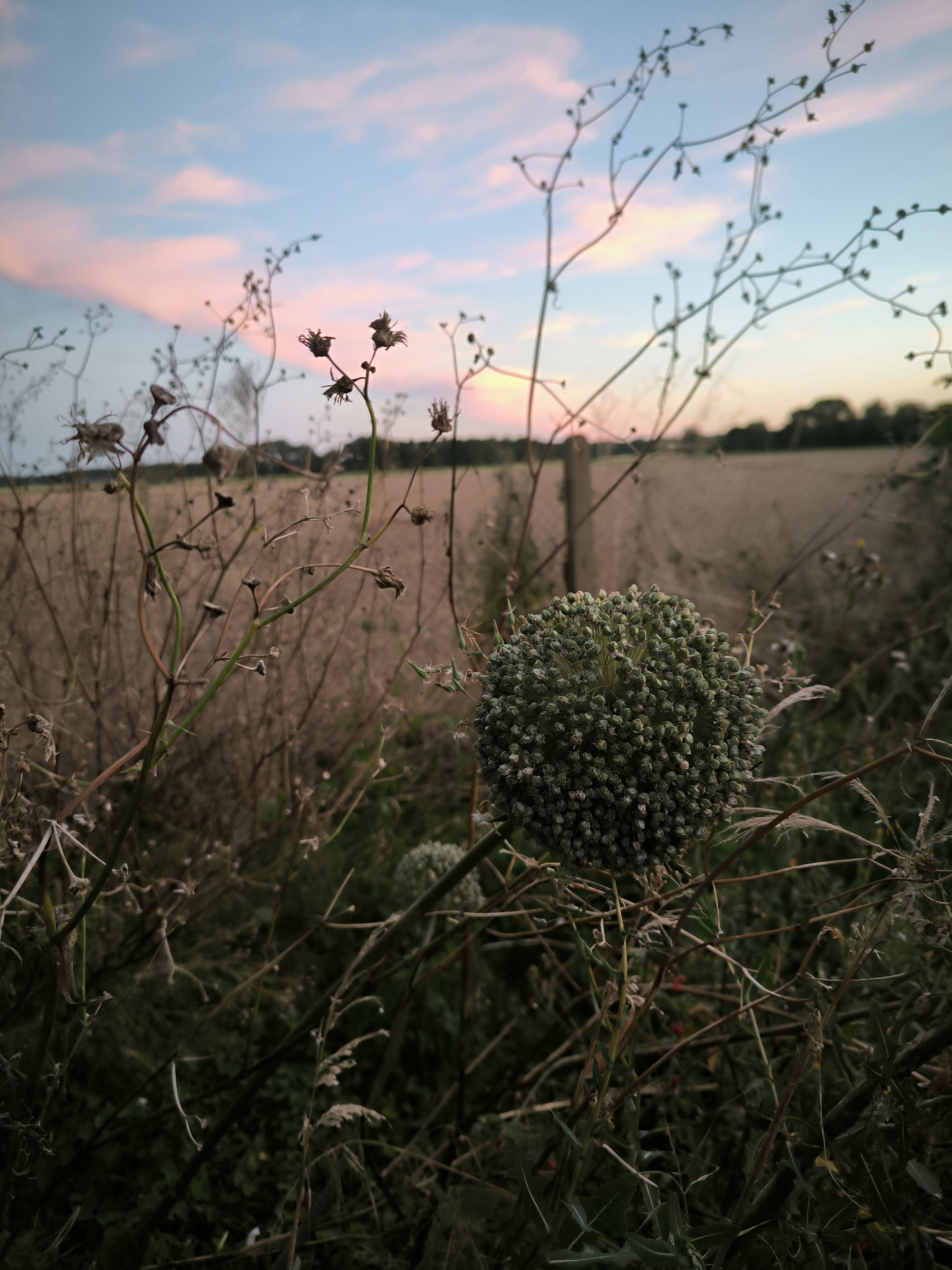 Maison nature à Boissy-la-Rivière