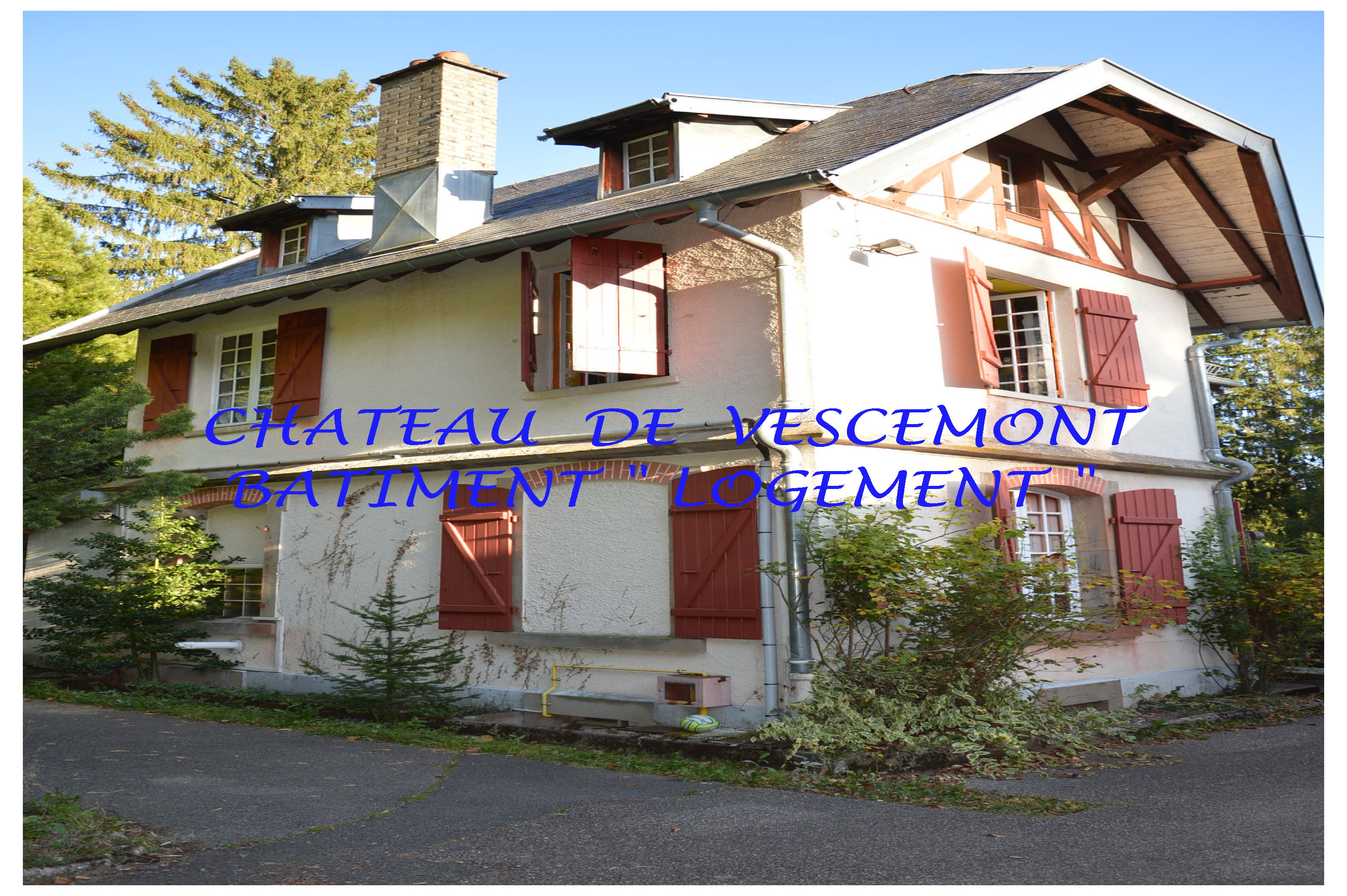 - image: 25