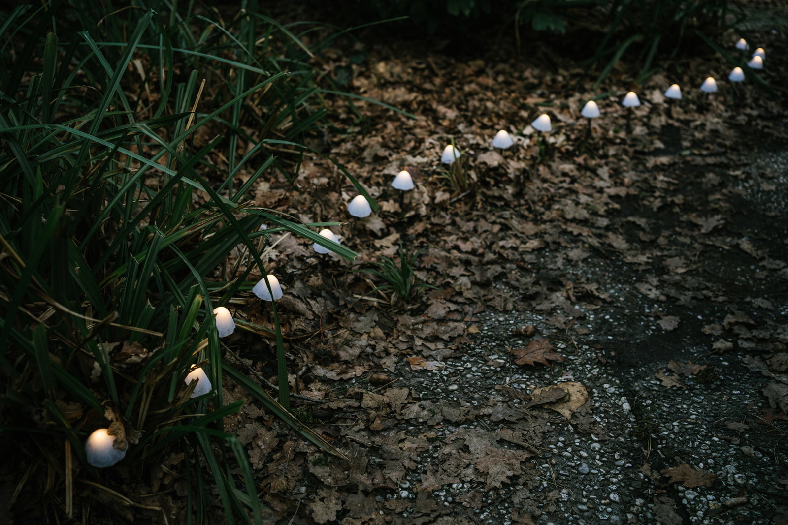 Naturhäuschen in Meijel