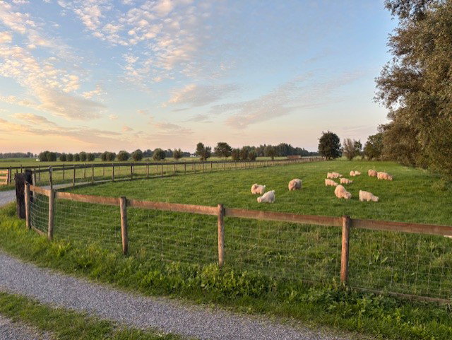 Casa nella natura a Baambrugge