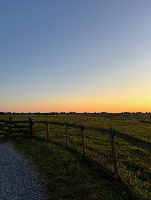 - image: 11