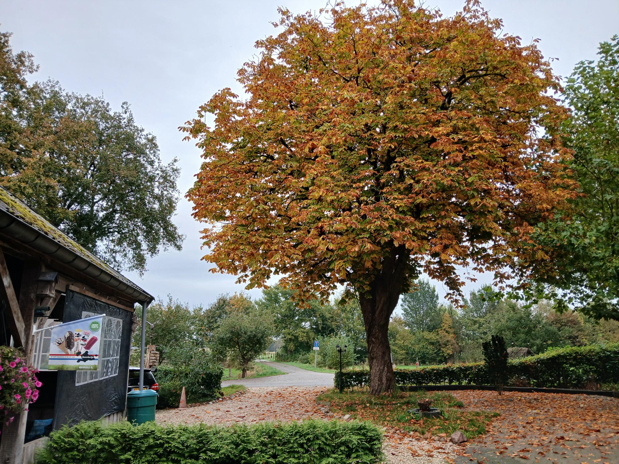 Natuurhuisje in Stieltjeskanaal (plaats)