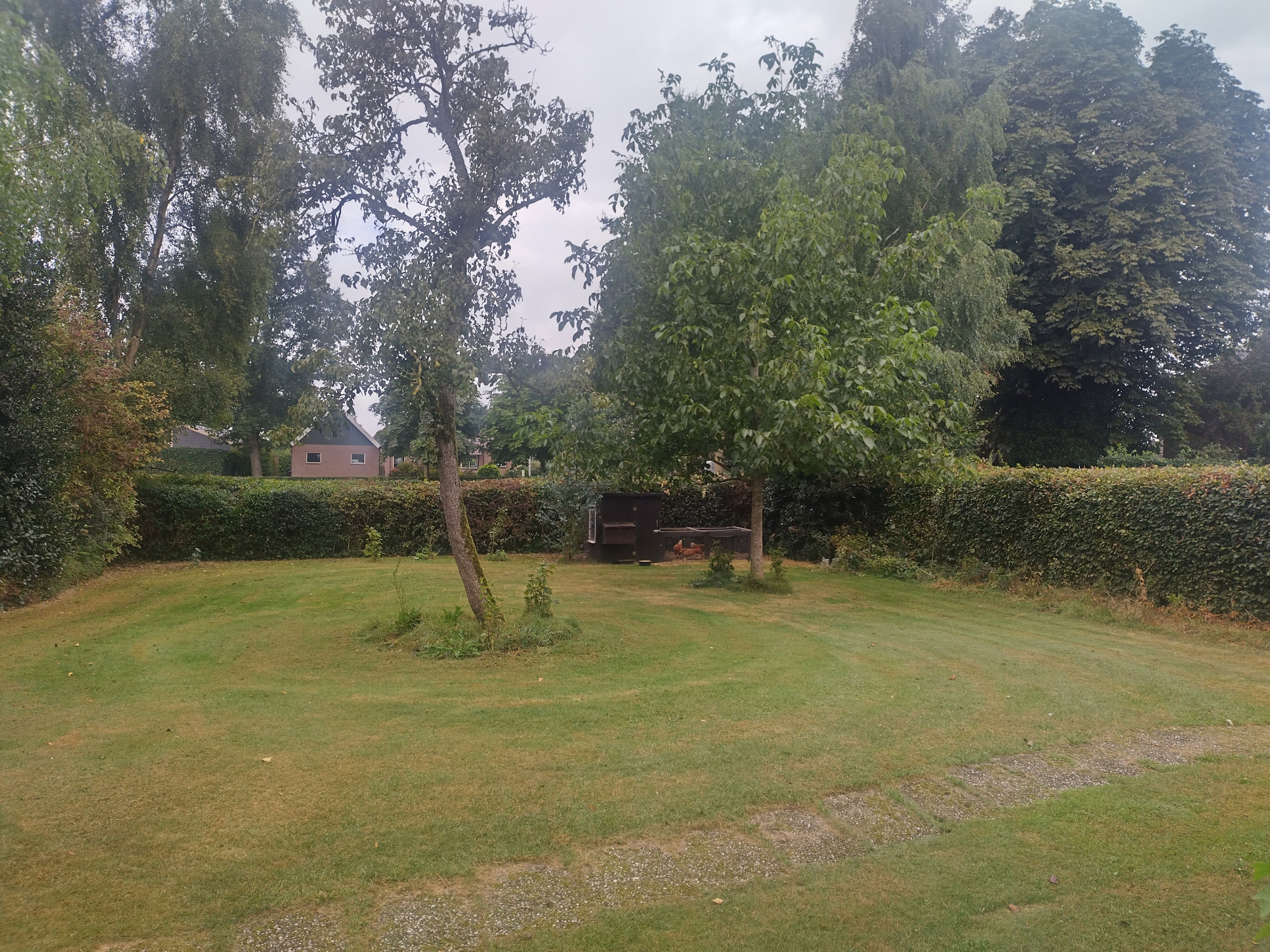 Casa nella natura a Nijeveen