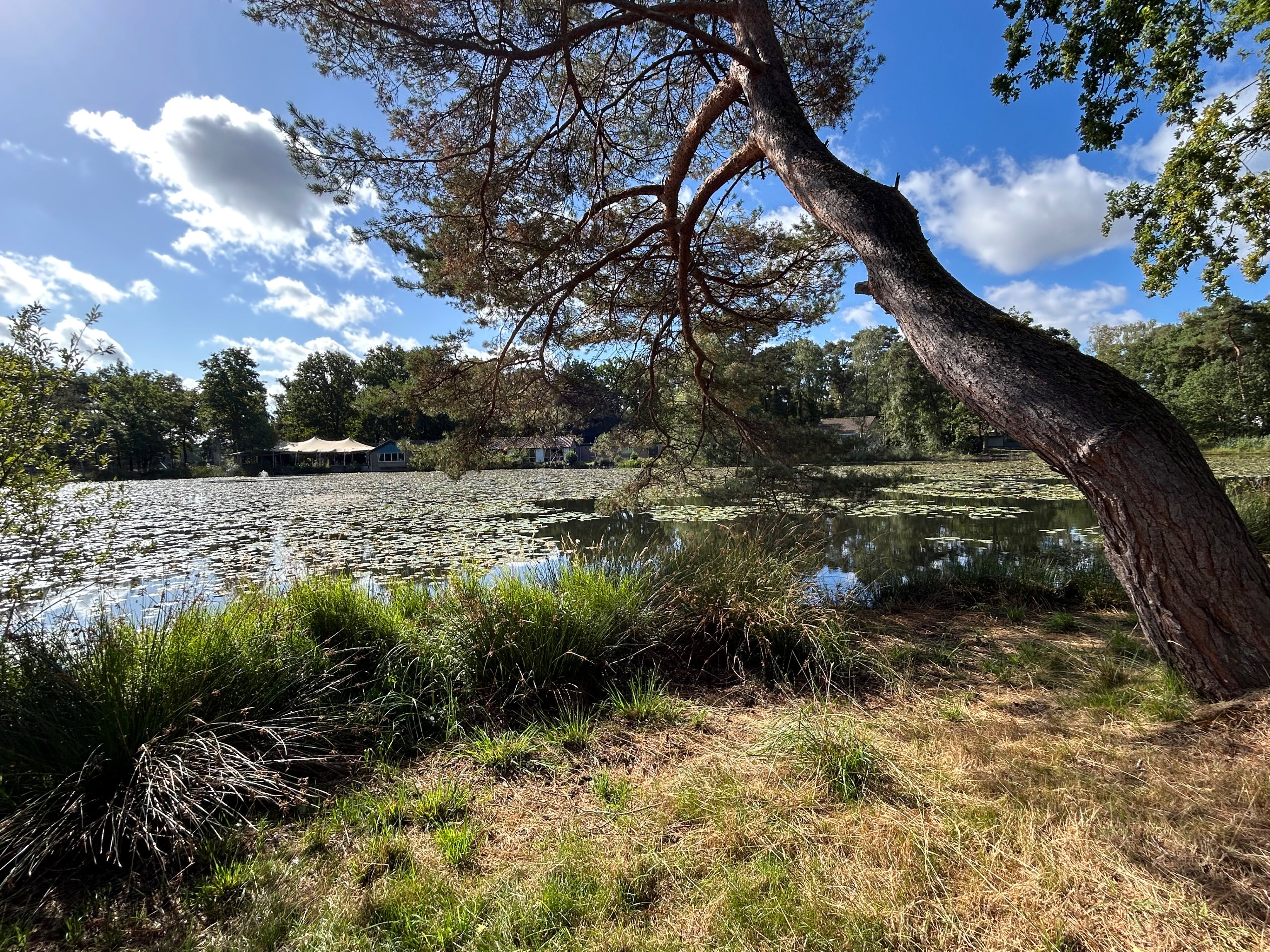 Natuurhuisje in Stramproy