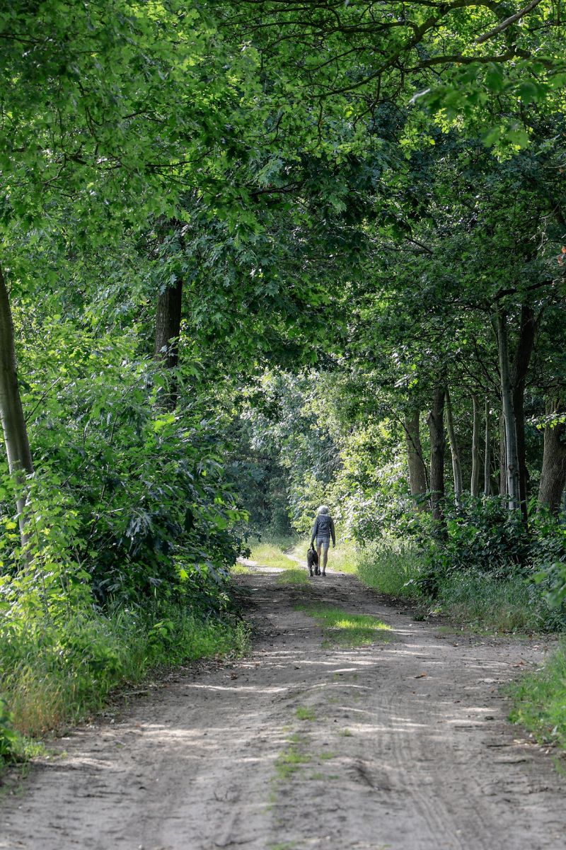 Casa nella natura a Lierop