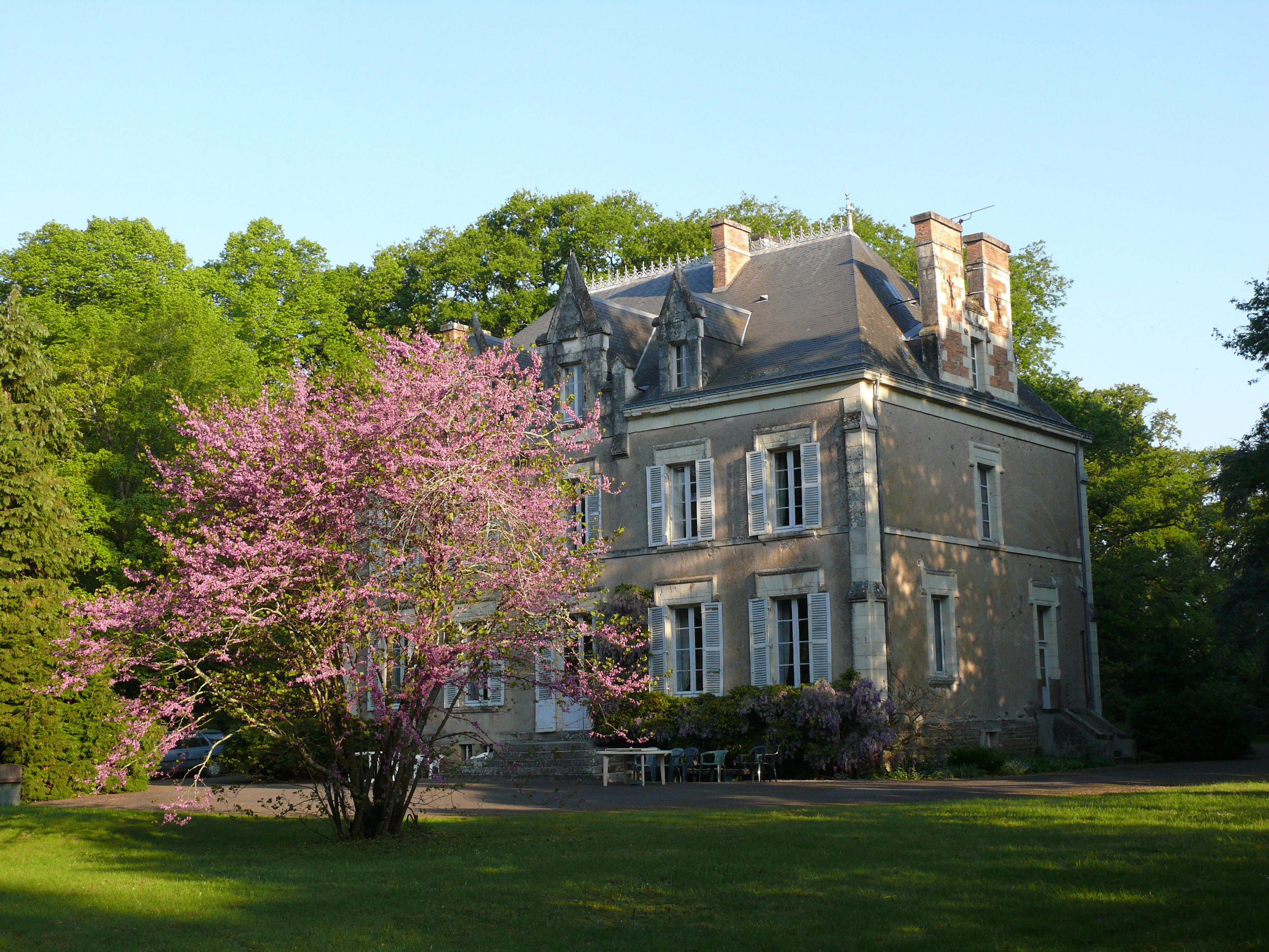 - image: 25