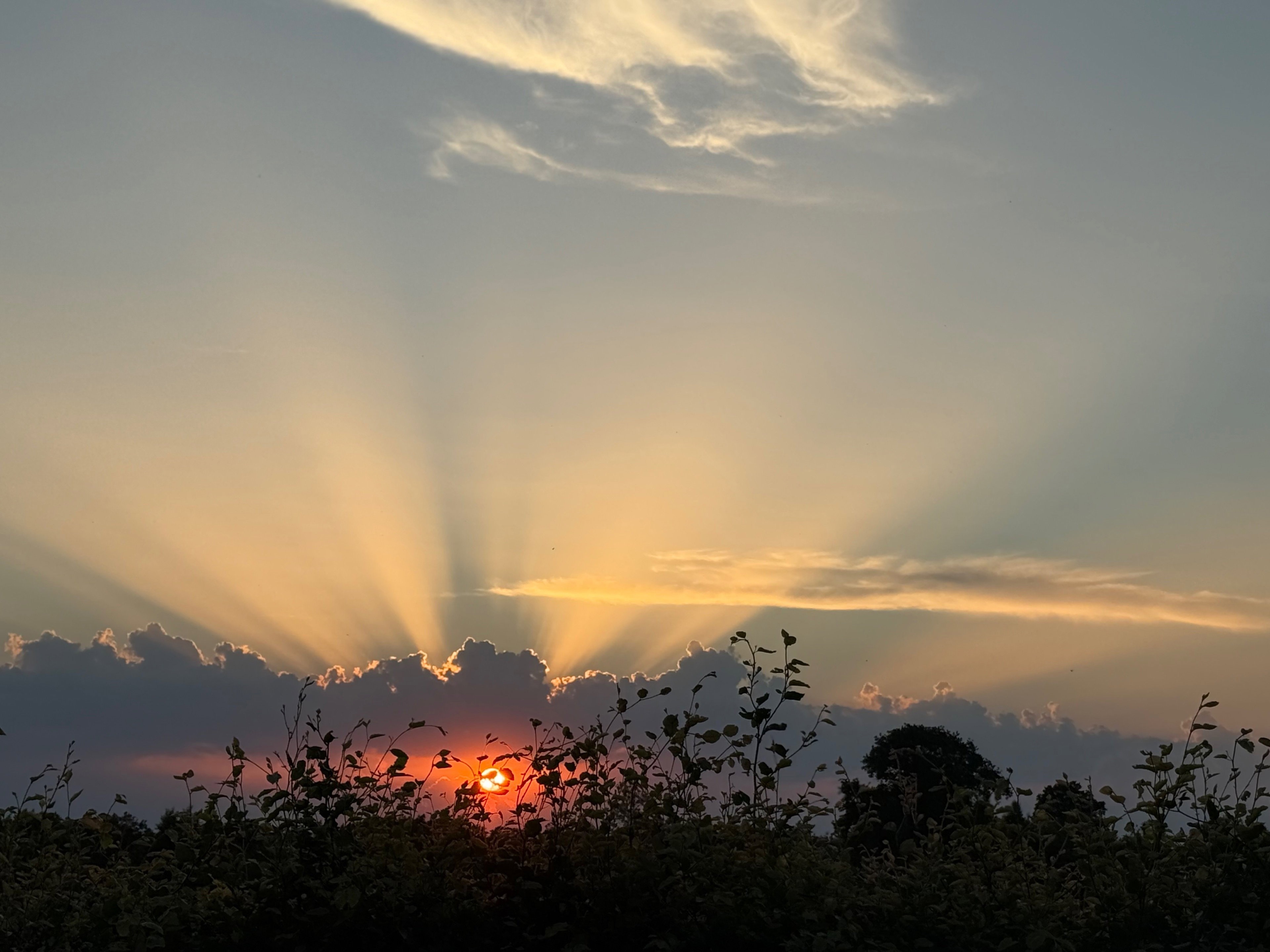 Natuurhuisje in Surhuisterveen