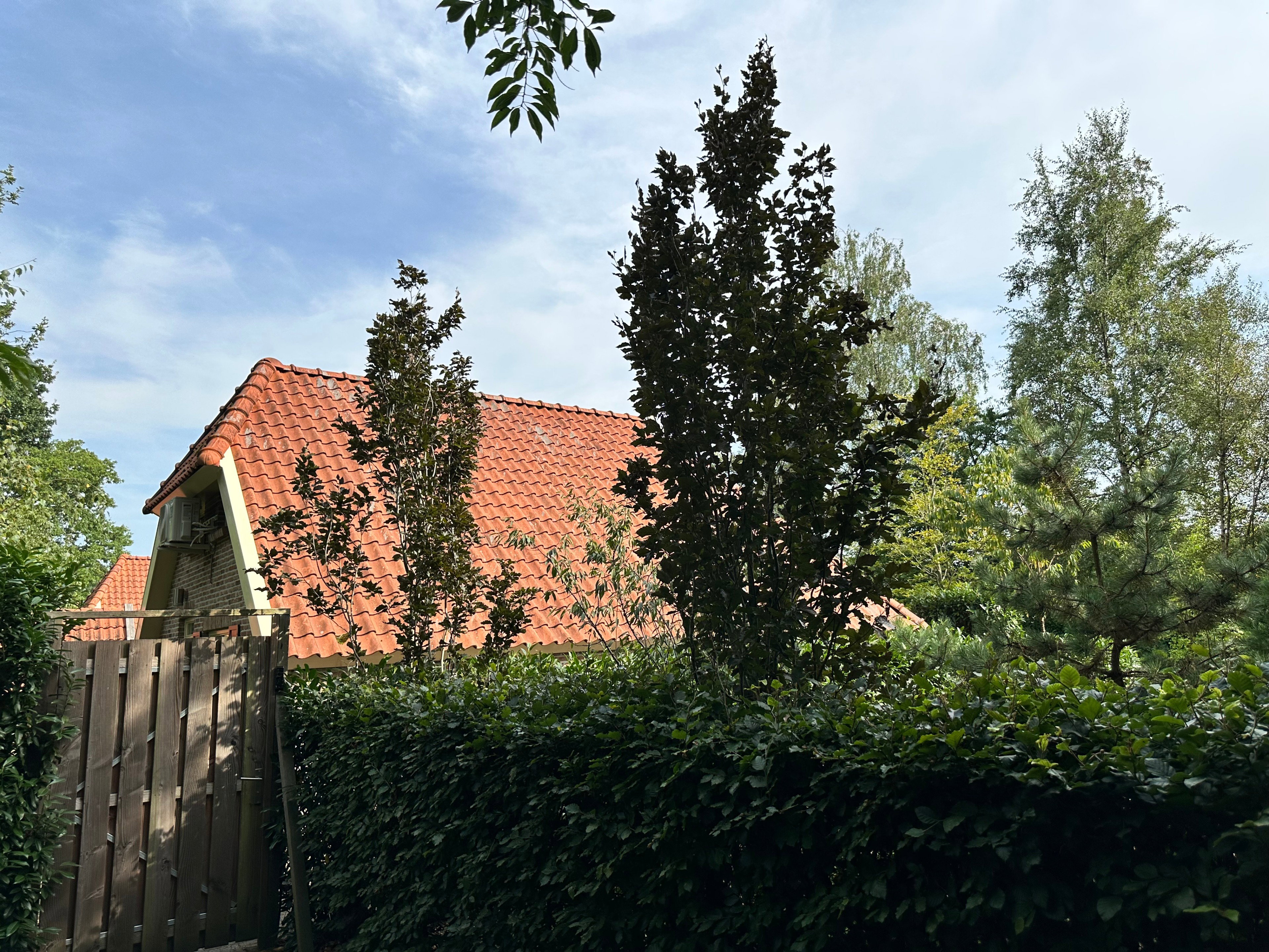 Casa nella natura a IJhorst