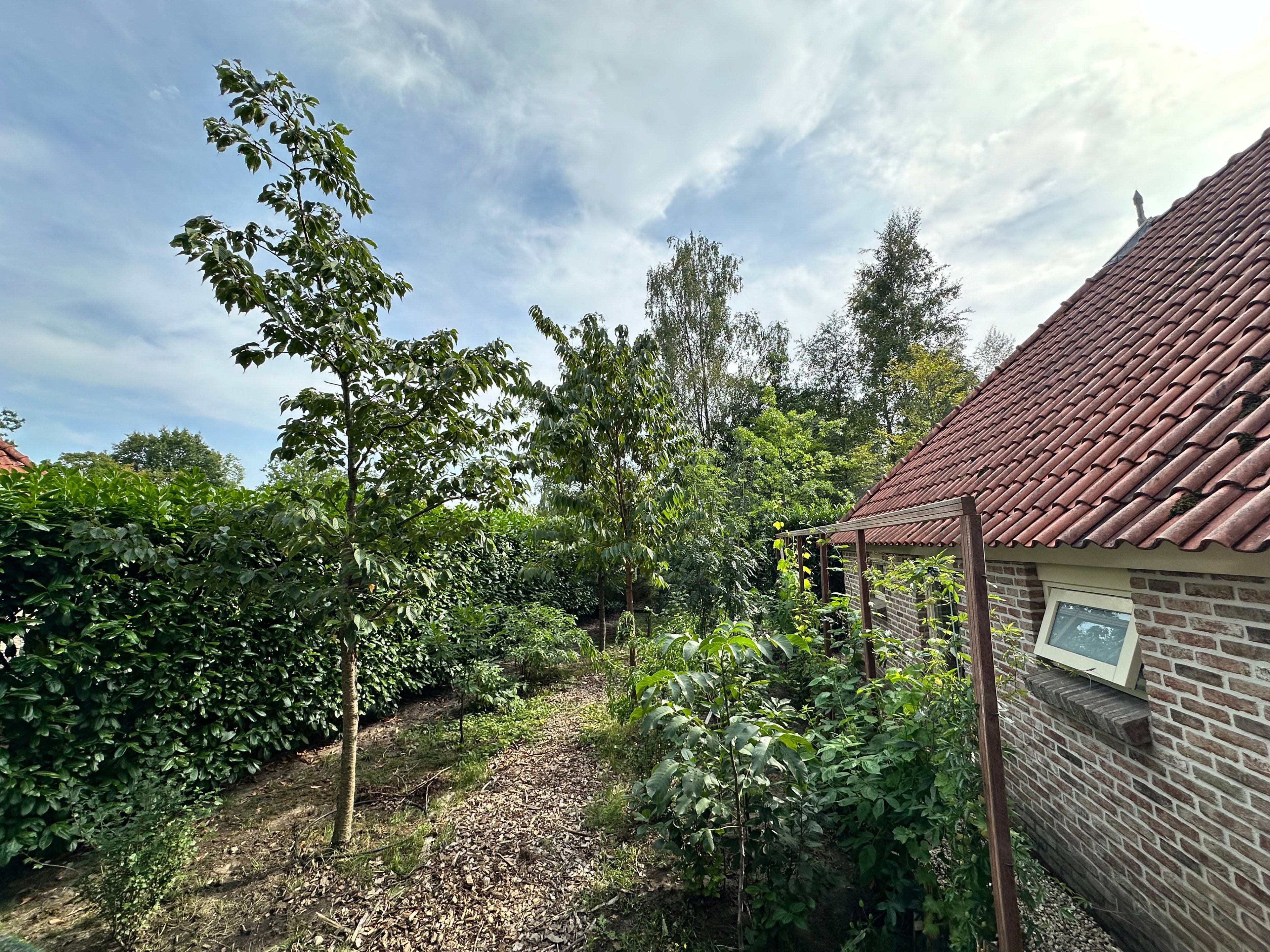 Casa nella natura a IJhorst