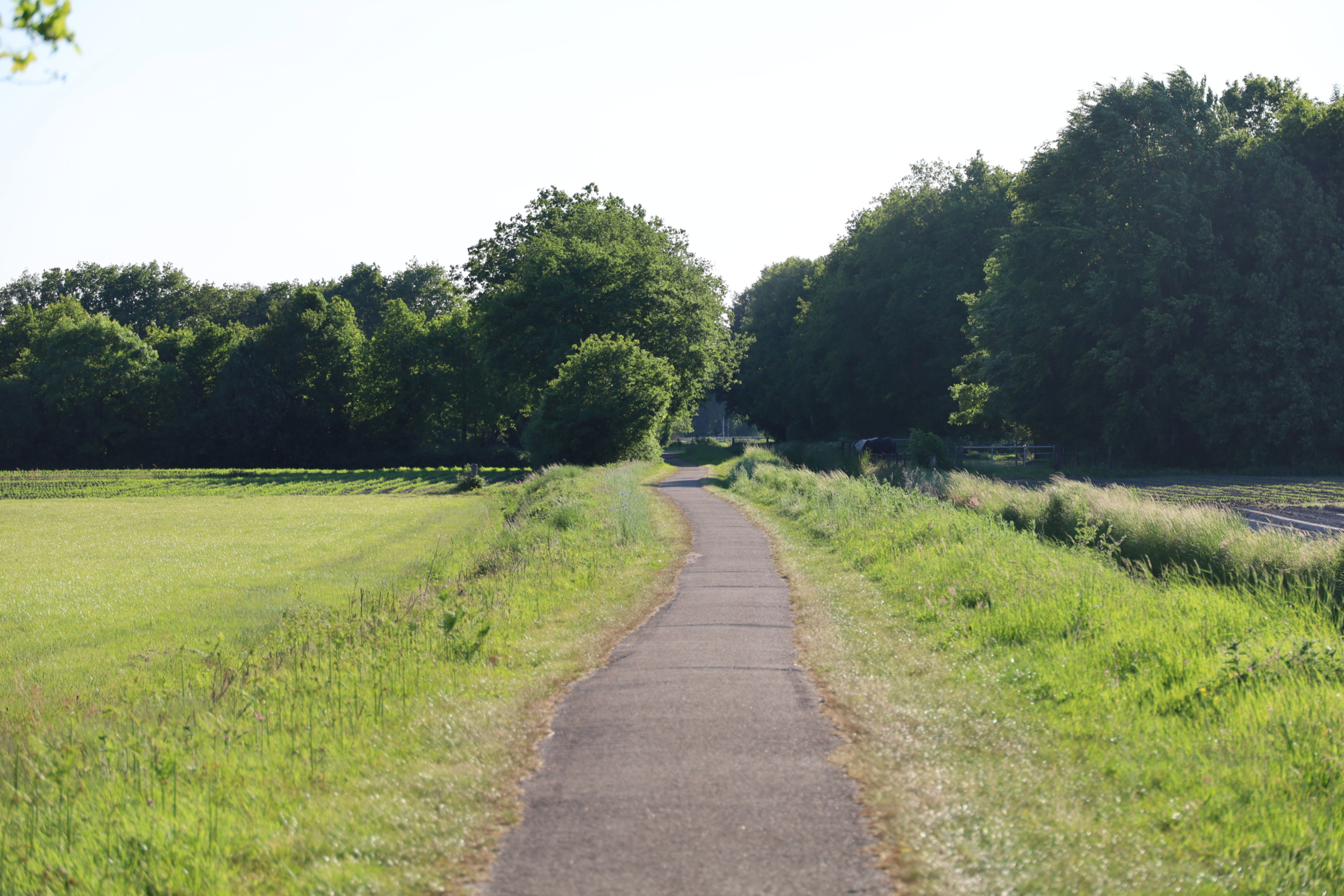 Natuurhuisje in Oldeholtpade