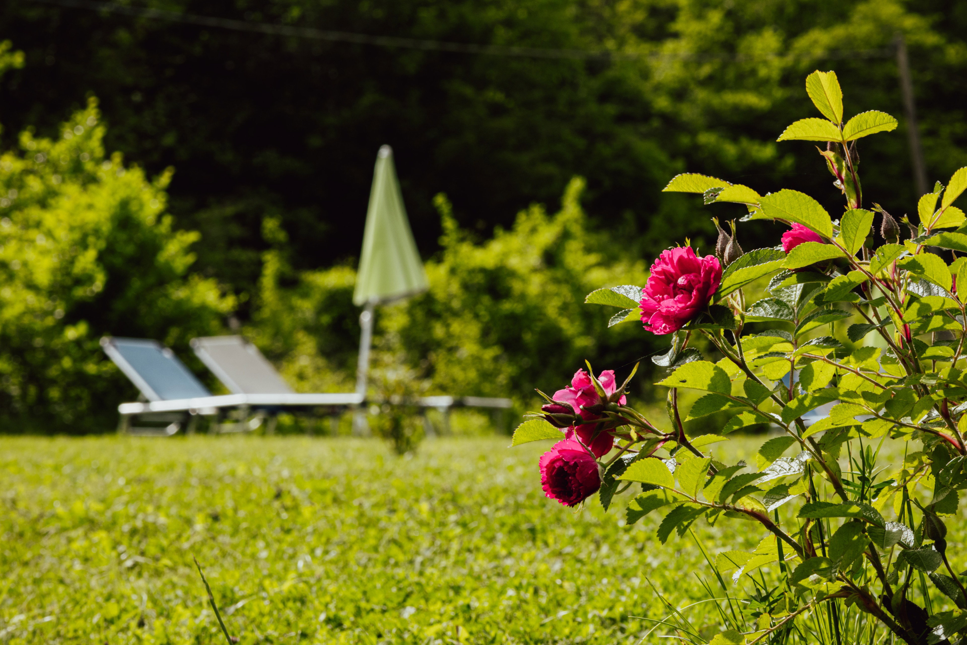 Nature house in Pietralunga