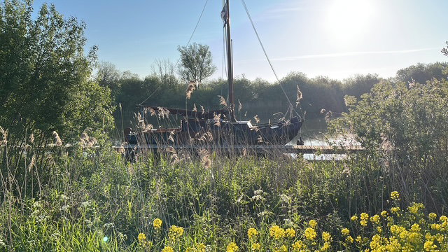 - image: 22