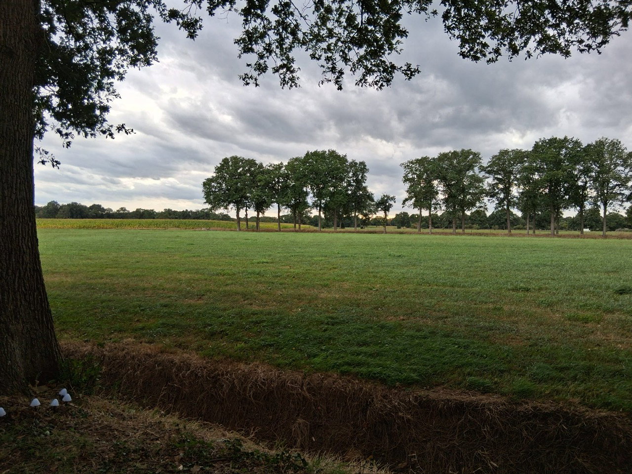 Naturhäuschen in Oldeberkoop