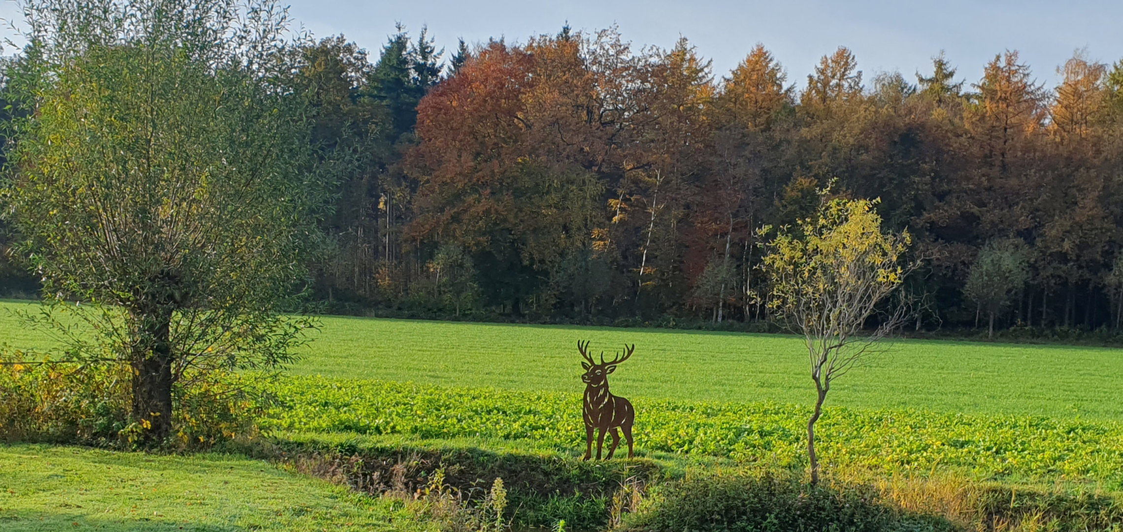 Naturhäuschen in Barchem