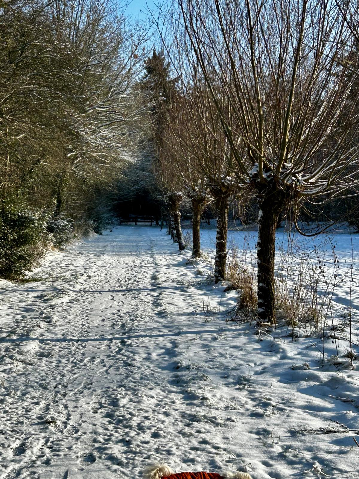 - image: 26