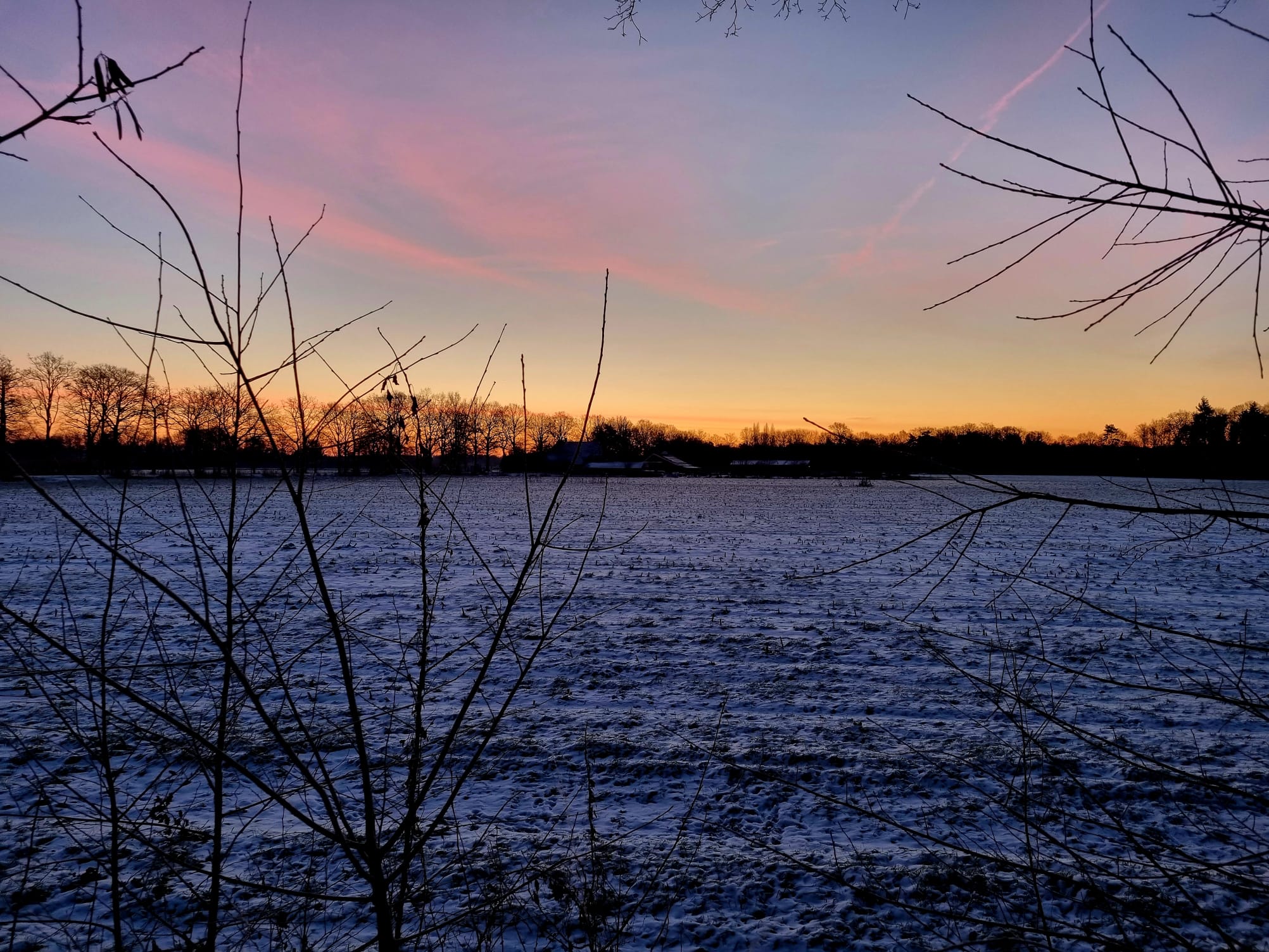 - image: 29