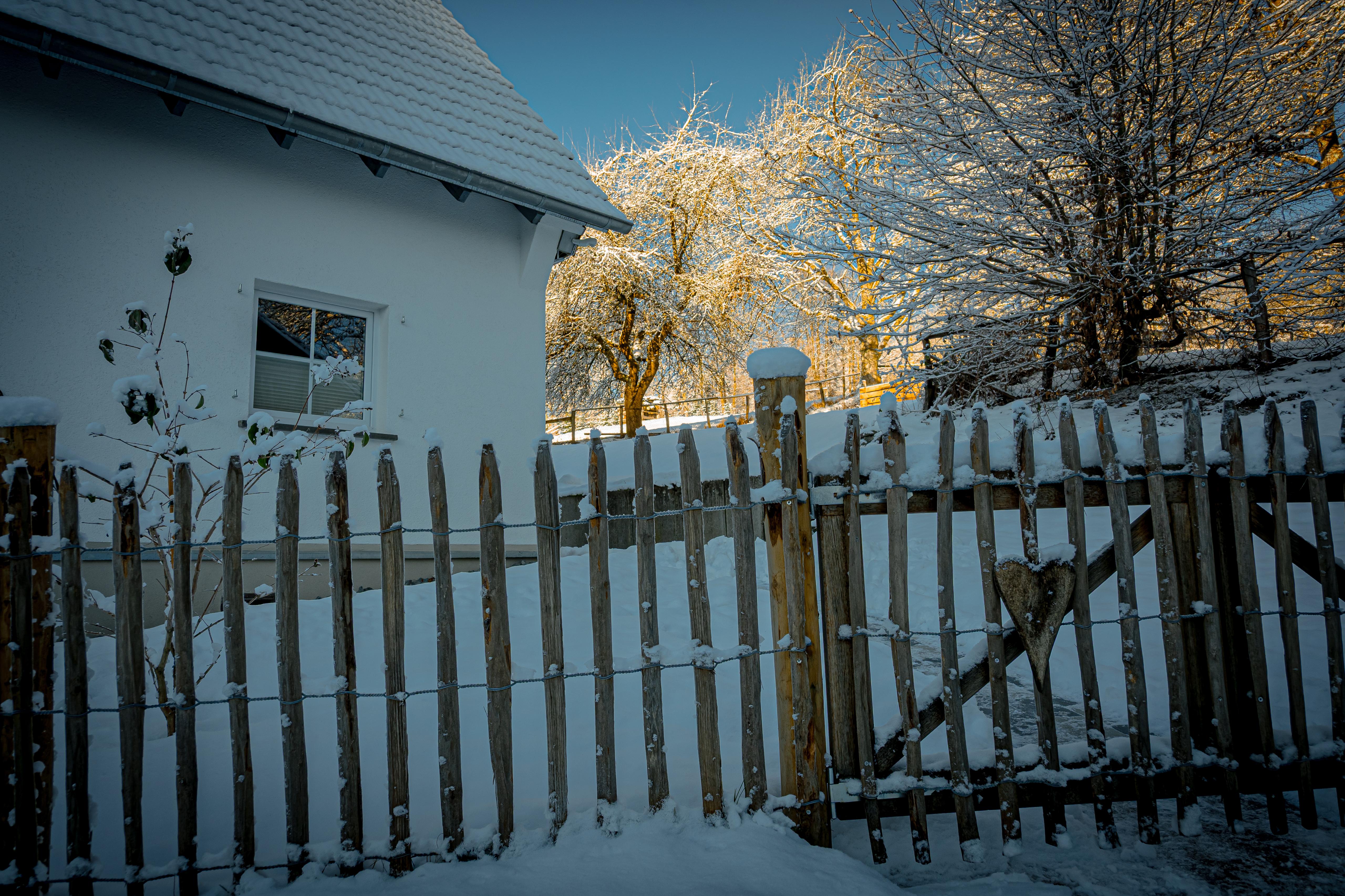 - image: 25
