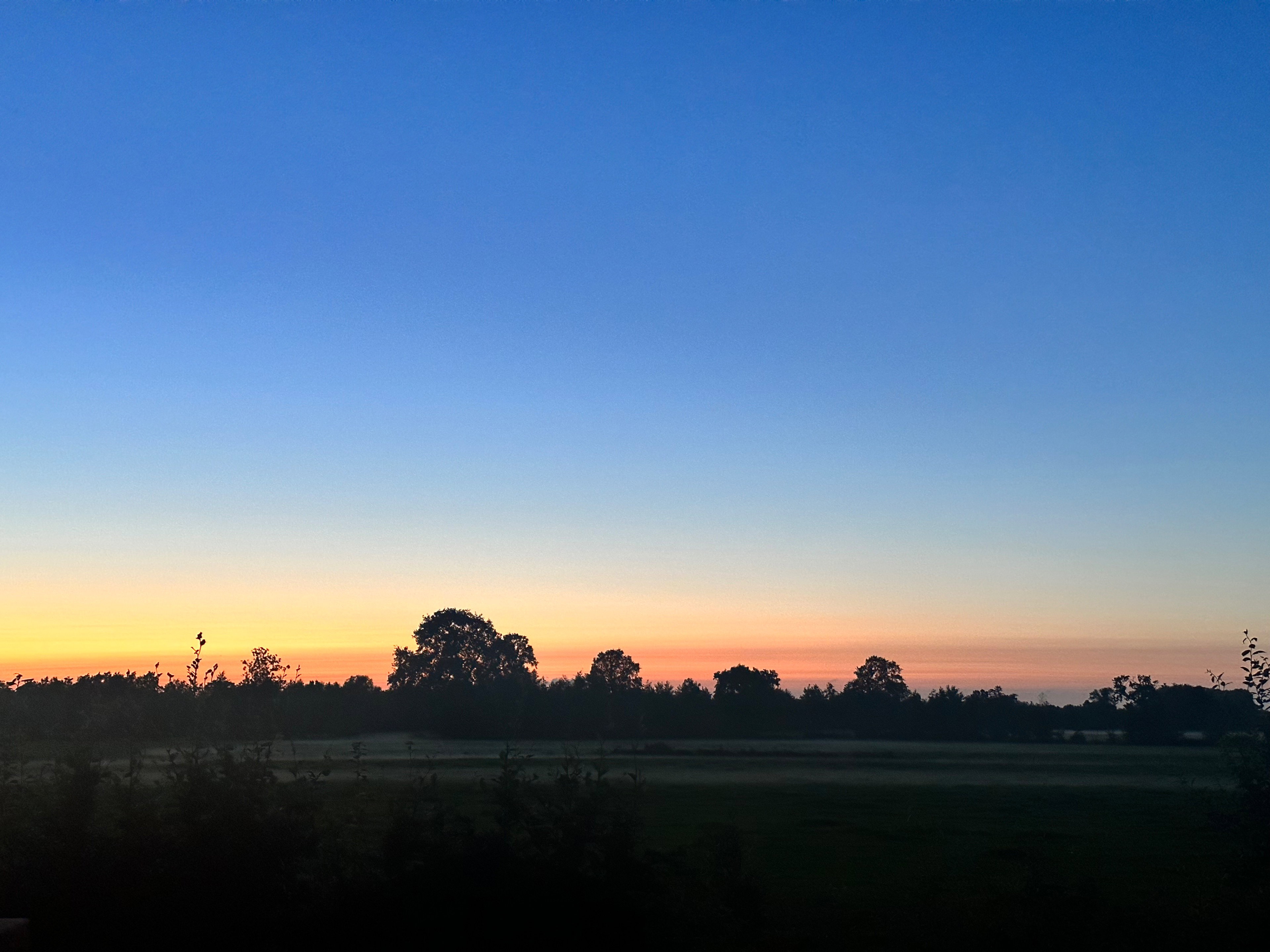 Casa nella natura a Surhuisterveen
