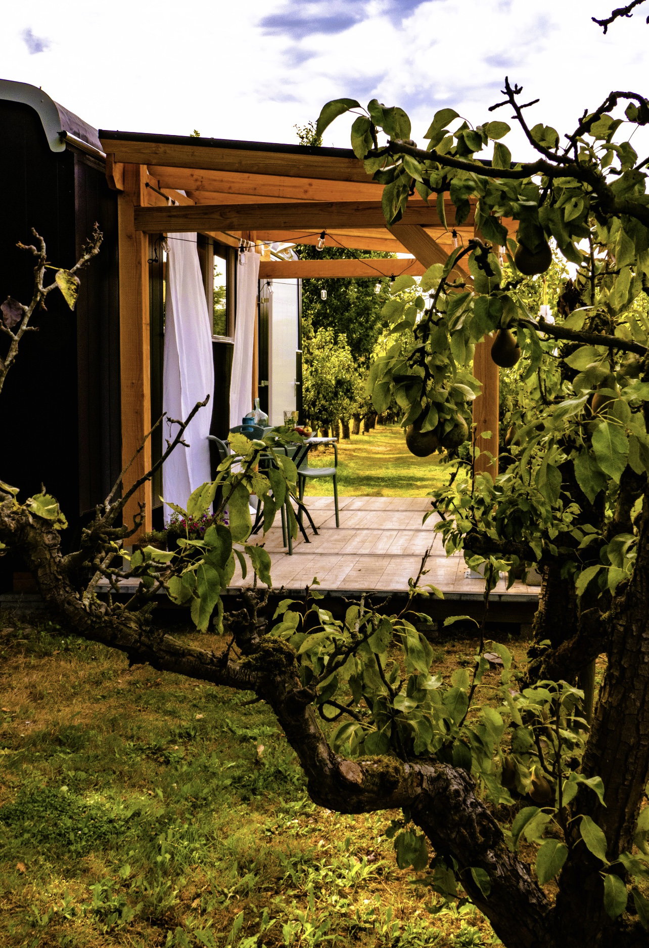 Nature house in Kortgene