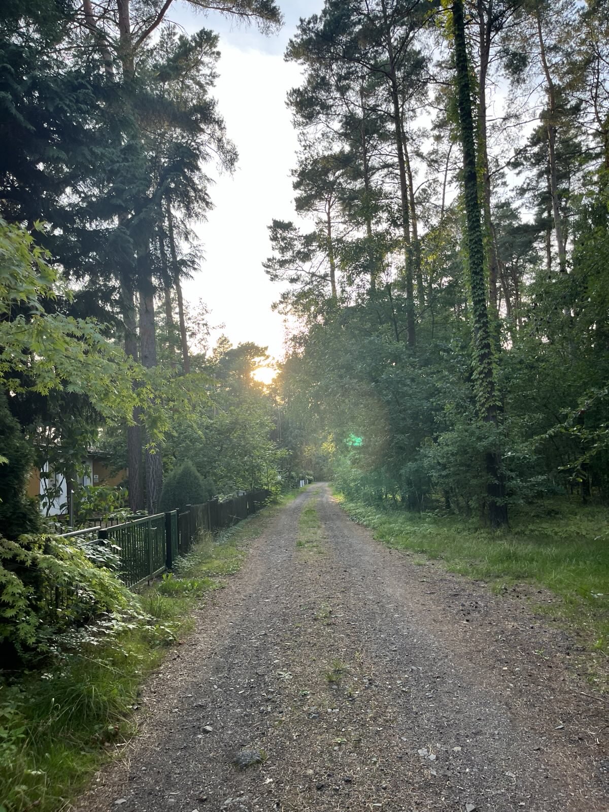 - image: 26